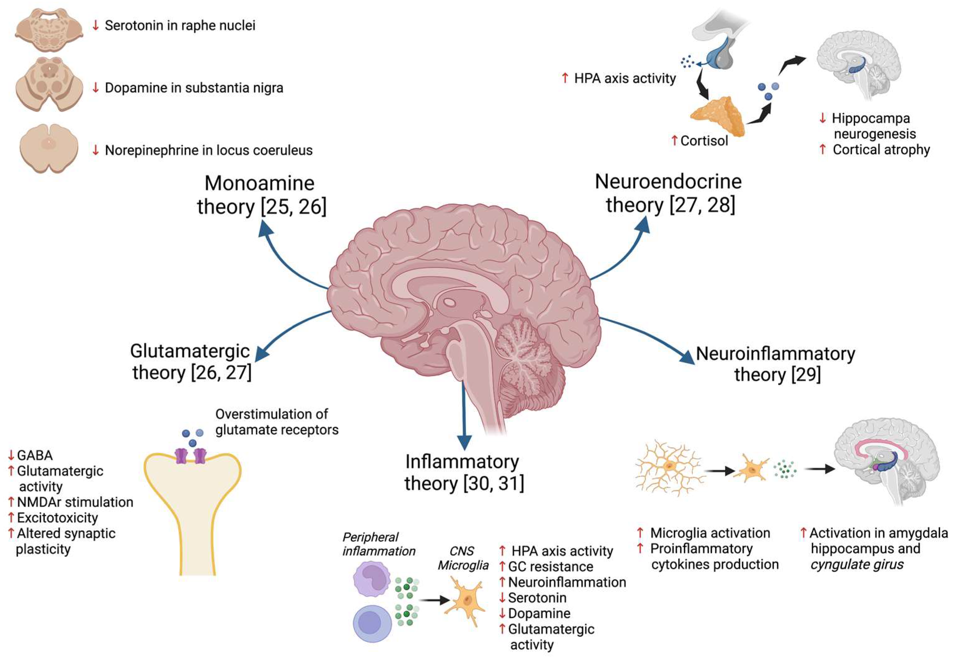 Pharmaceuticals 17 00841 g001 Pharmaceuticals 17 00841 g001
