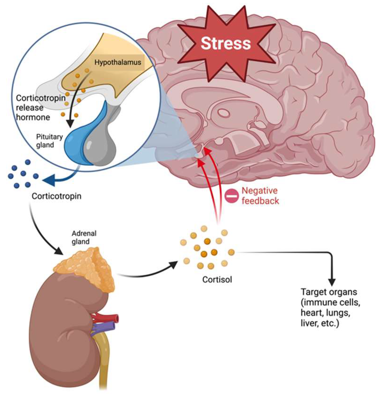 Pharmaceuticals 17 00841 g002 Pharmaceuticals 17 00841 g002