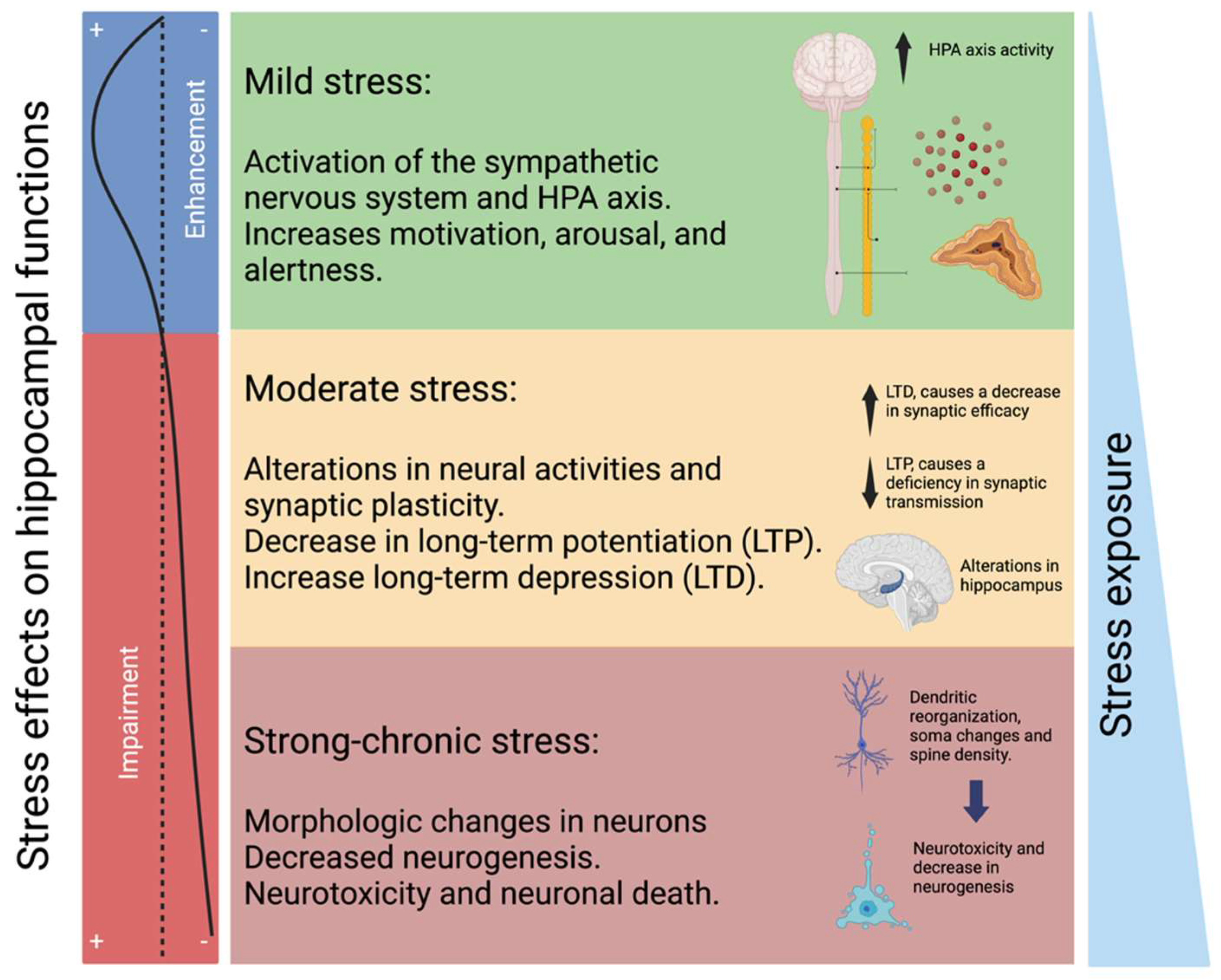 Pharmaceuticals 17 00841 g003 Pharmaceuticals 17 00841 g003