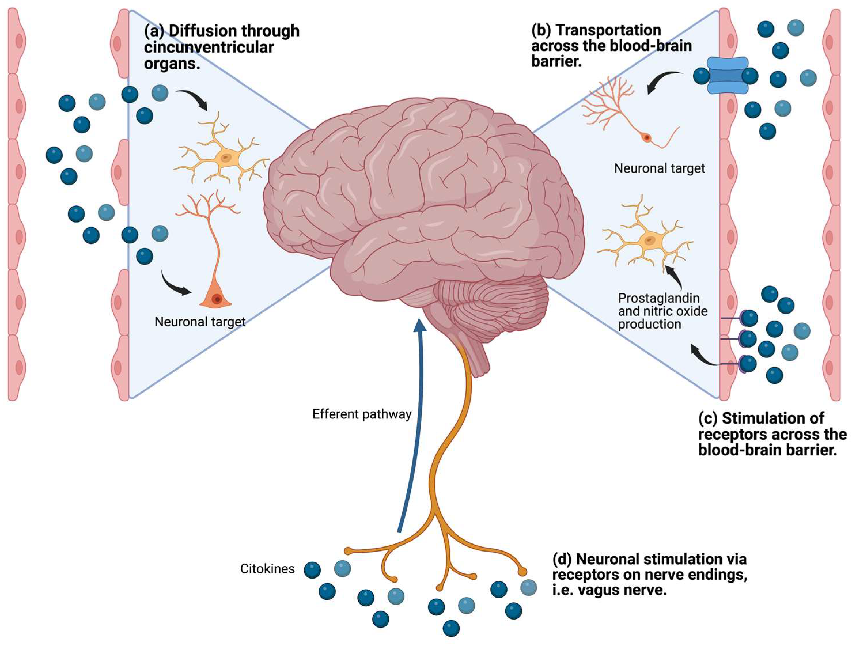 Pharmaceuticals 17 00841 g004 Pharmaceuticals 17 00841 g004