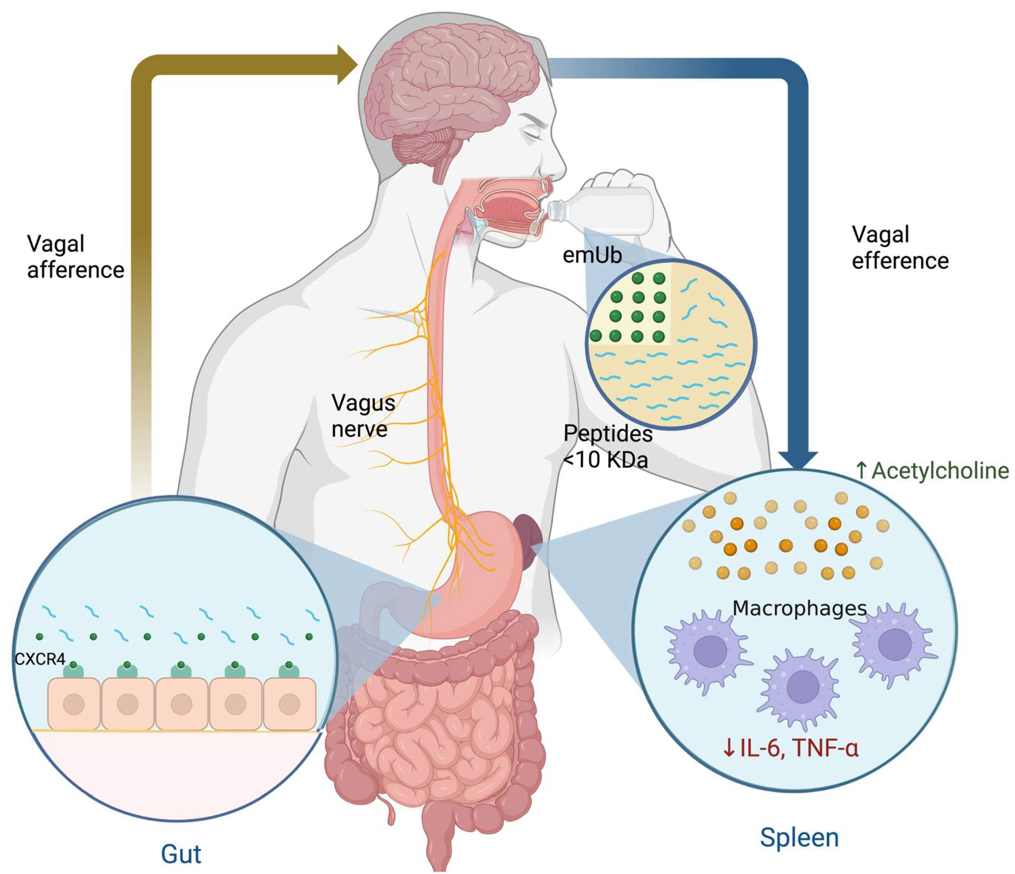 Pharmaceuticals 17 00841 g008 Pharmaceuticals 17 00841 g008