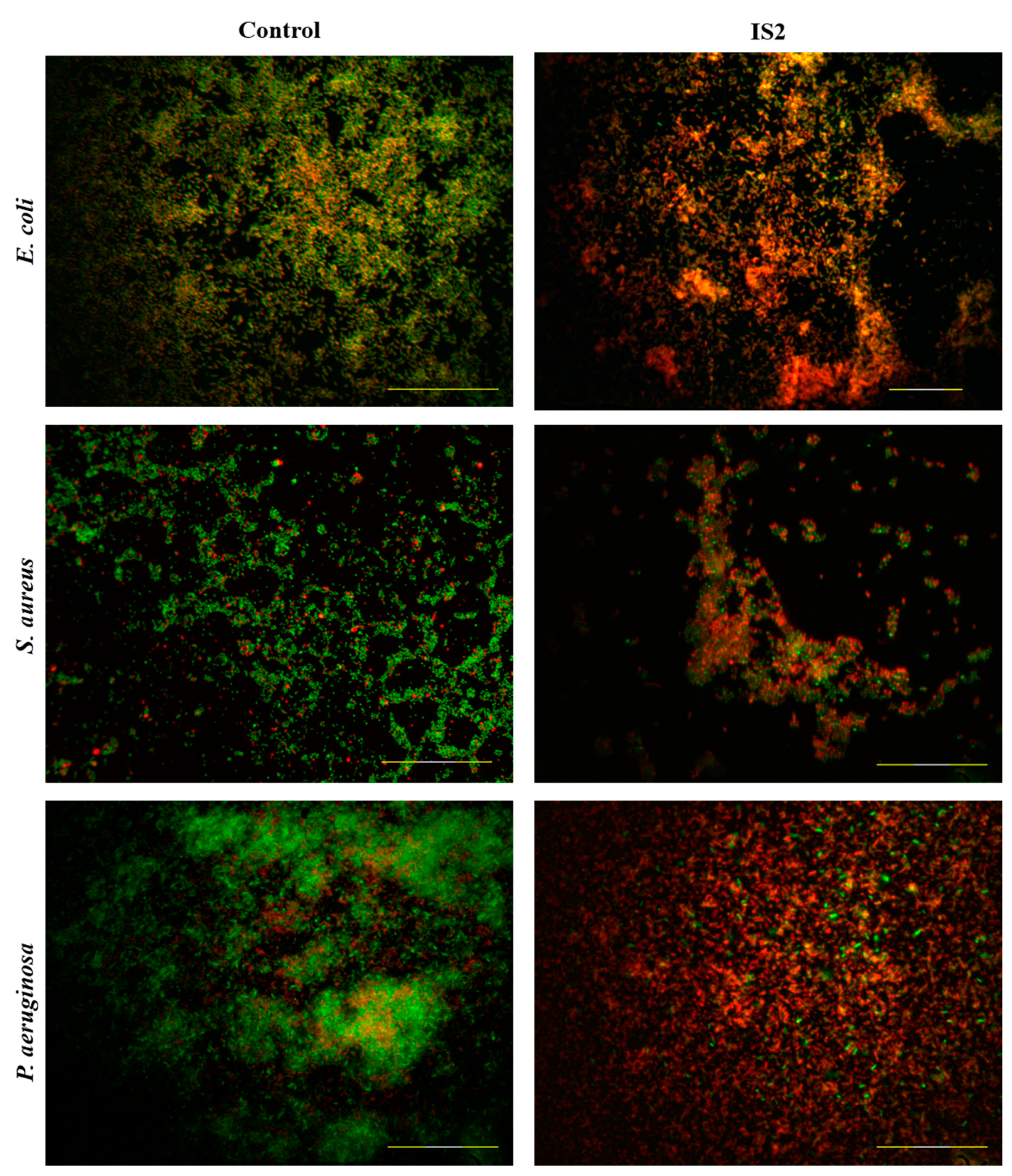 Pharmaceuticals 17 00844 g005