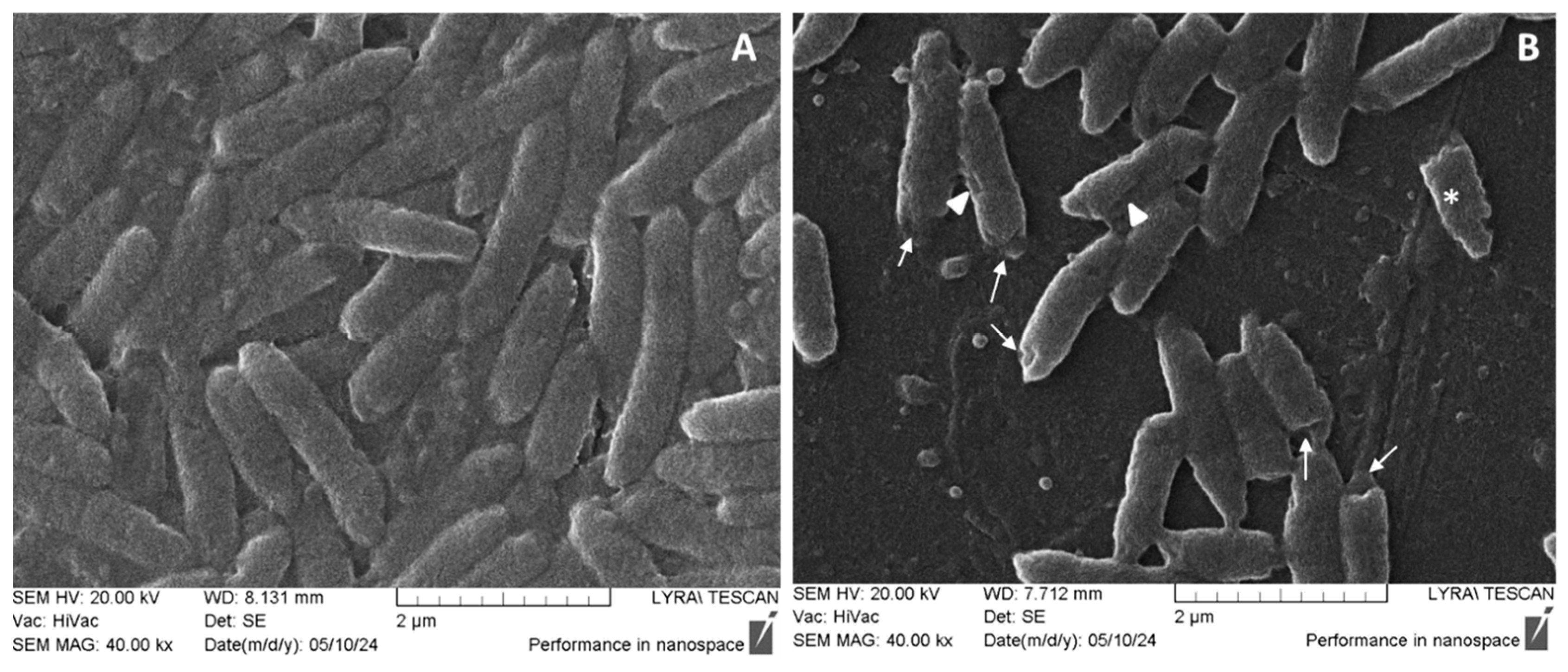 Pharmaceuticals 17 00844 g006