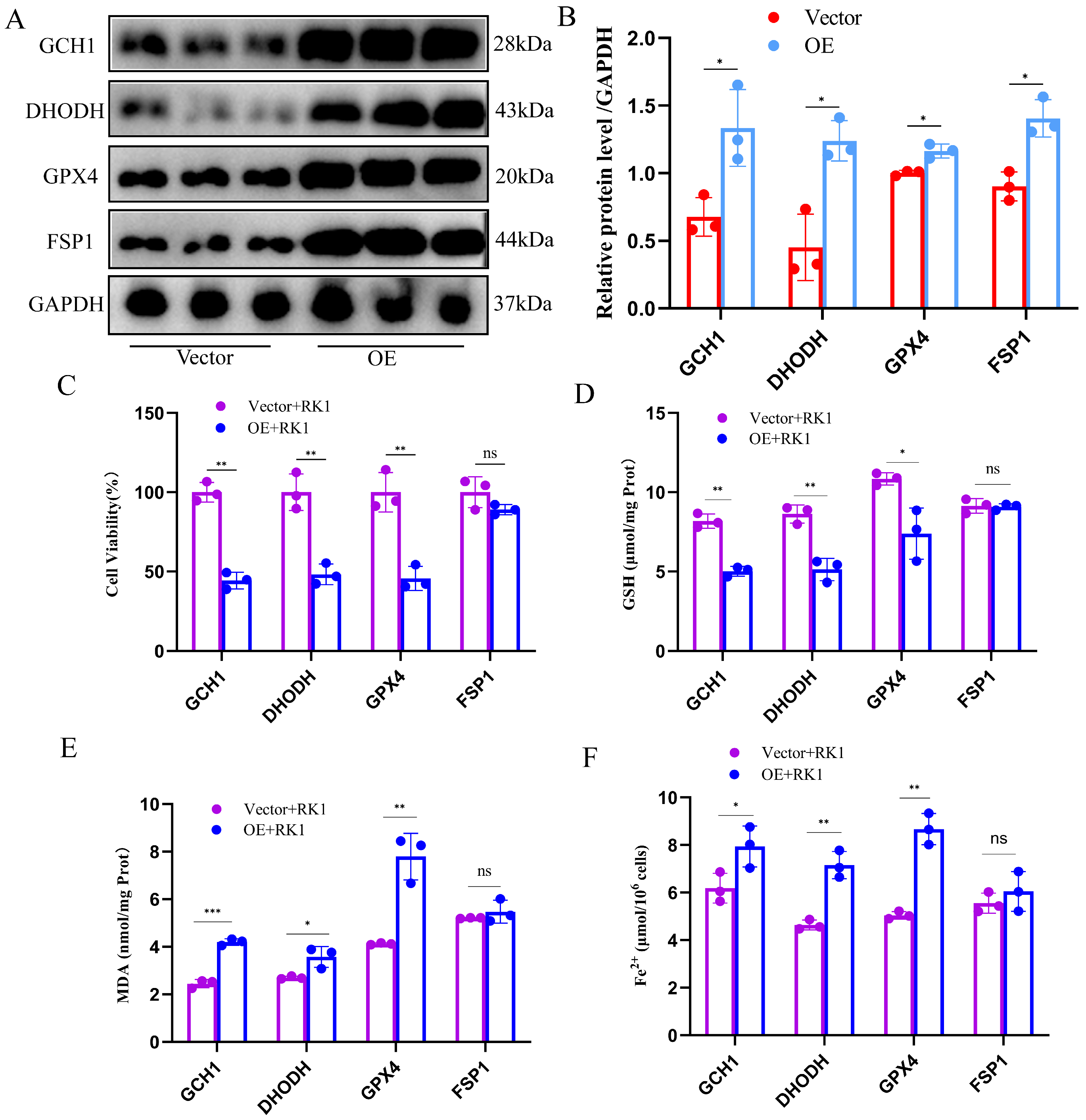 Pharmaceuticals 17 00871 g005