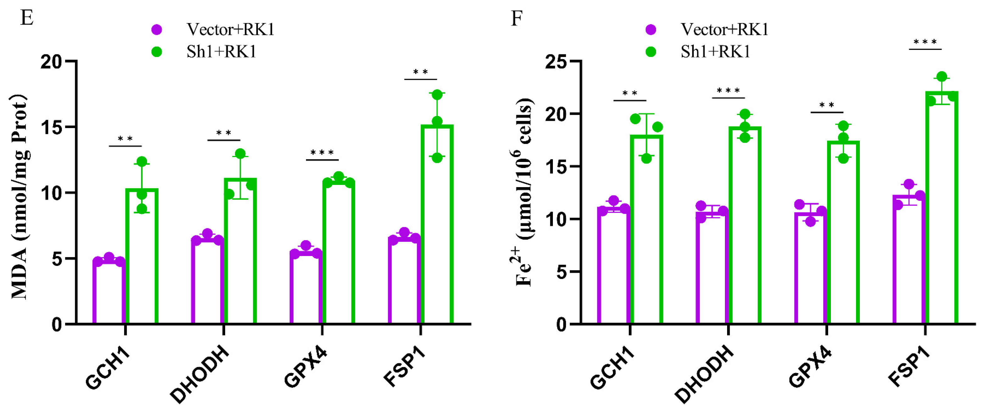 Pharmaceuticals 17 00871 g006b