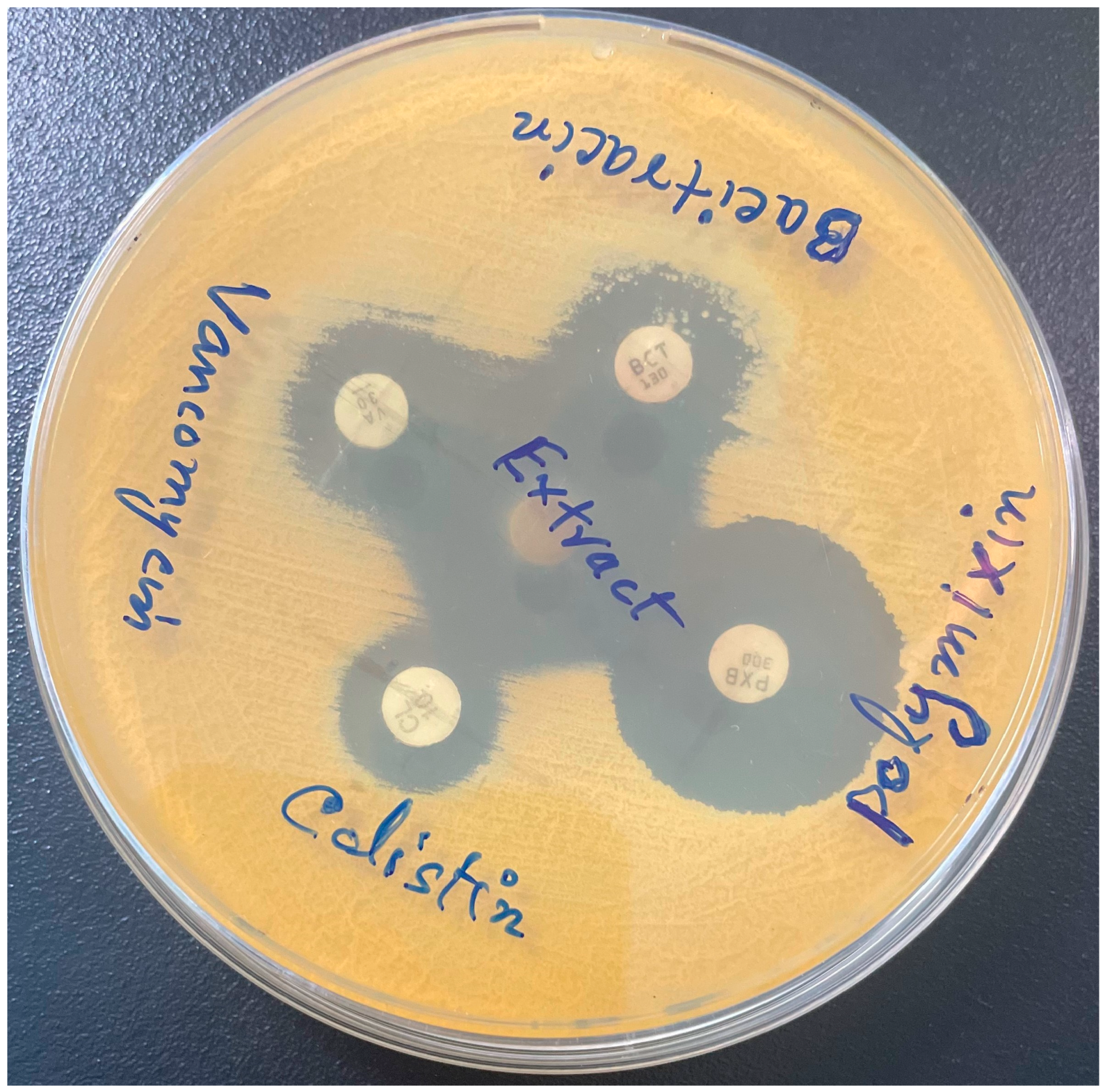 Pharmaceuticals 17 00872 g004