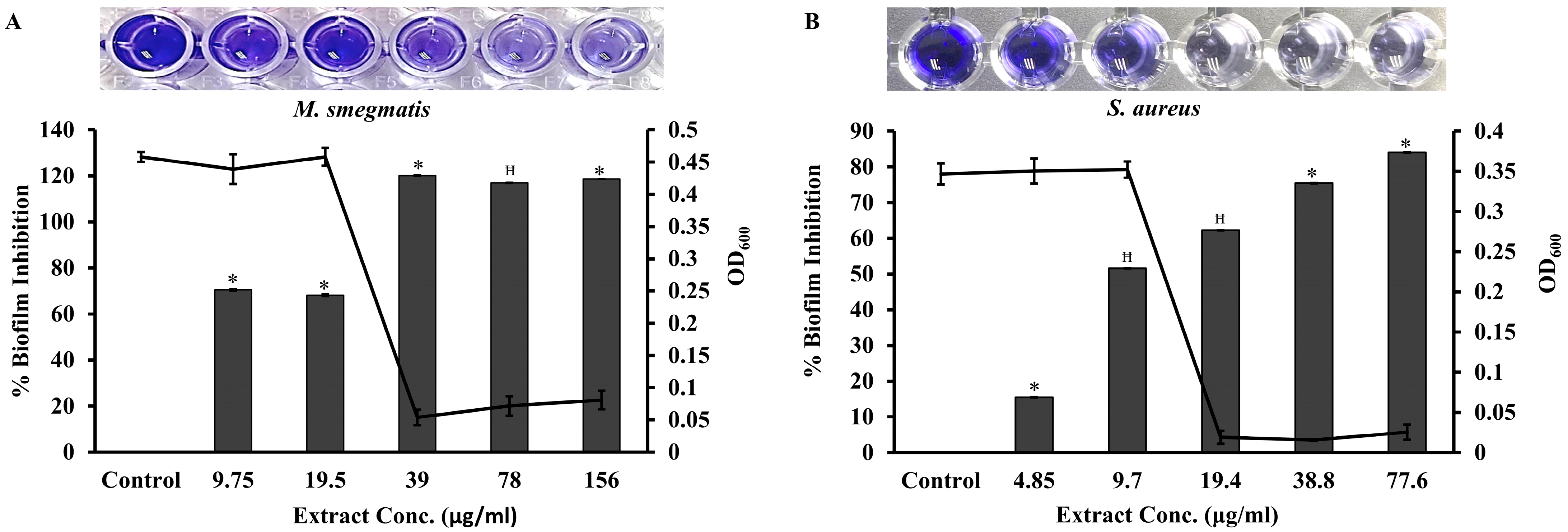 Pharmaceuticals 17 00872 g005
