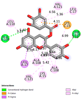 Pharmaceuticals 17 00877 i005