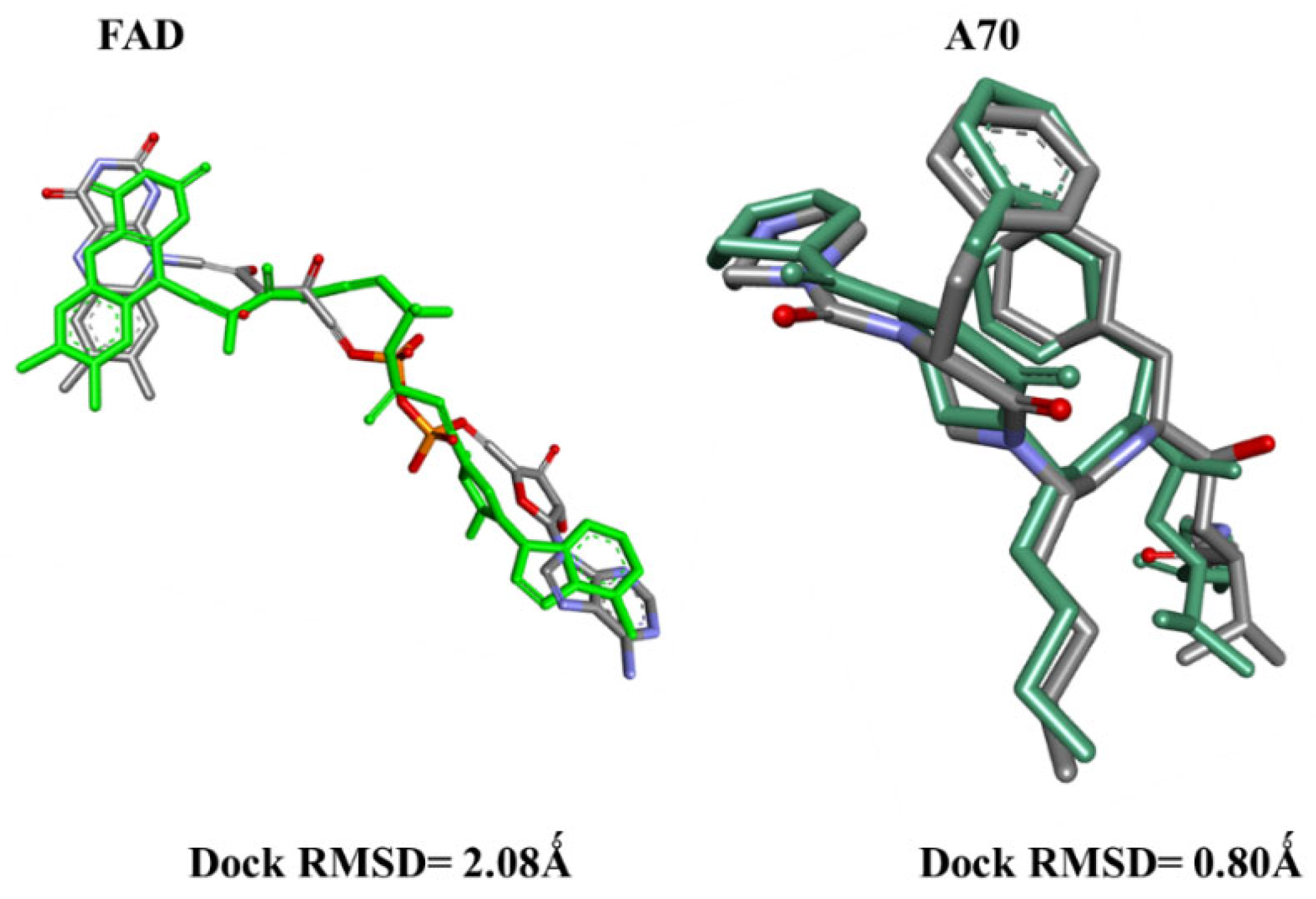 Pharmaceuticals 17 00886 g001