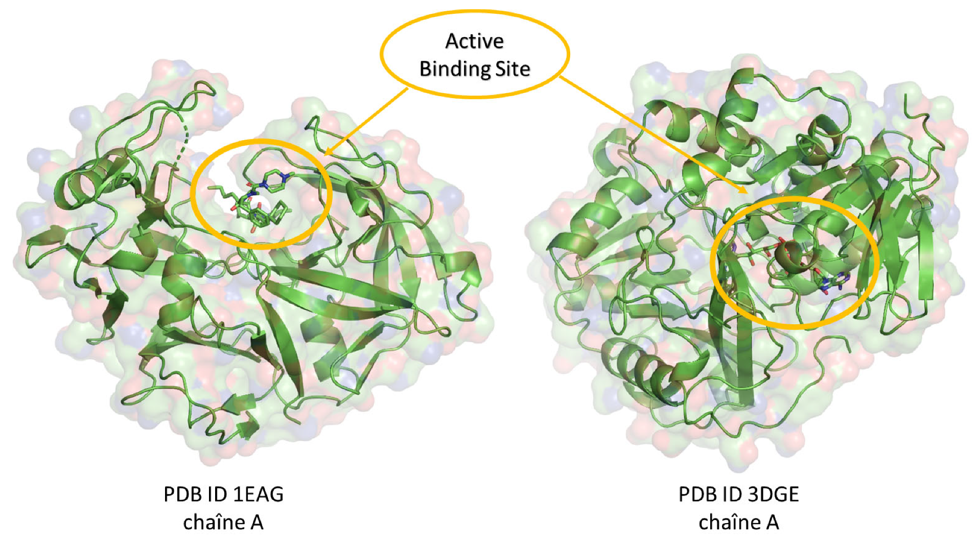 Pharmaceuticals 17 00886 g010