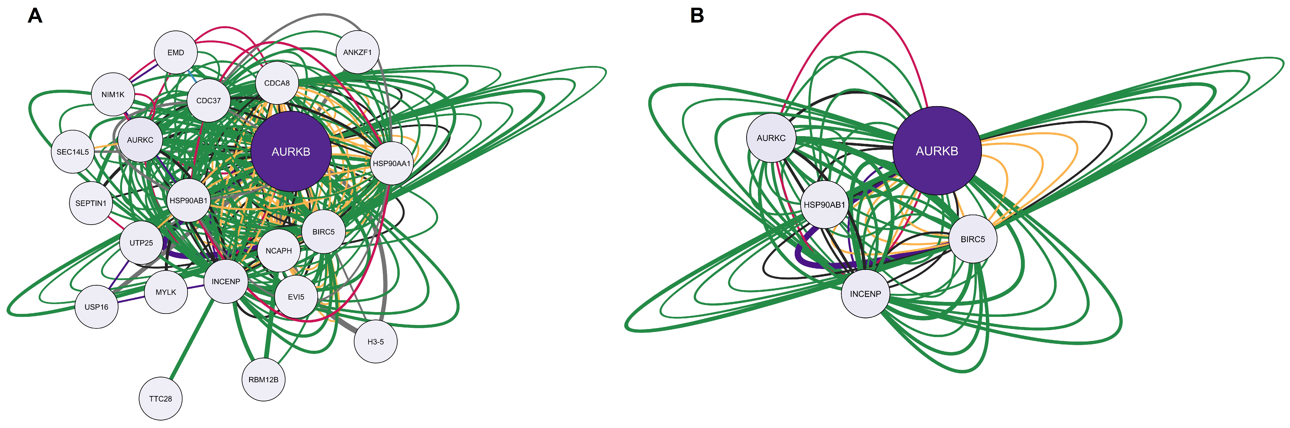Pharmaceuticals 17 00893 g005