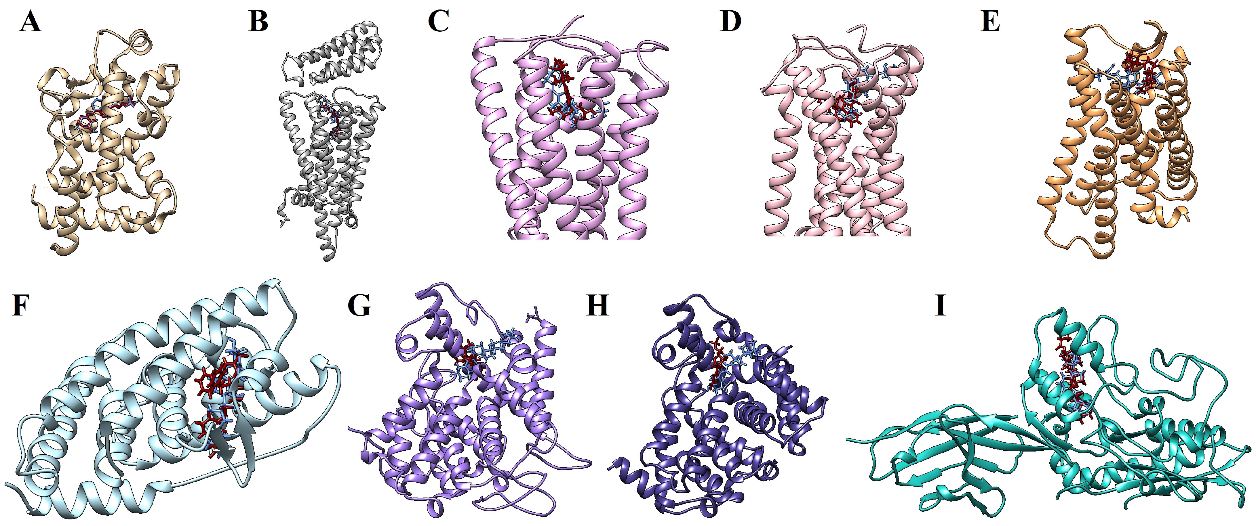 Pharmaceuticals 17 00893 g009
