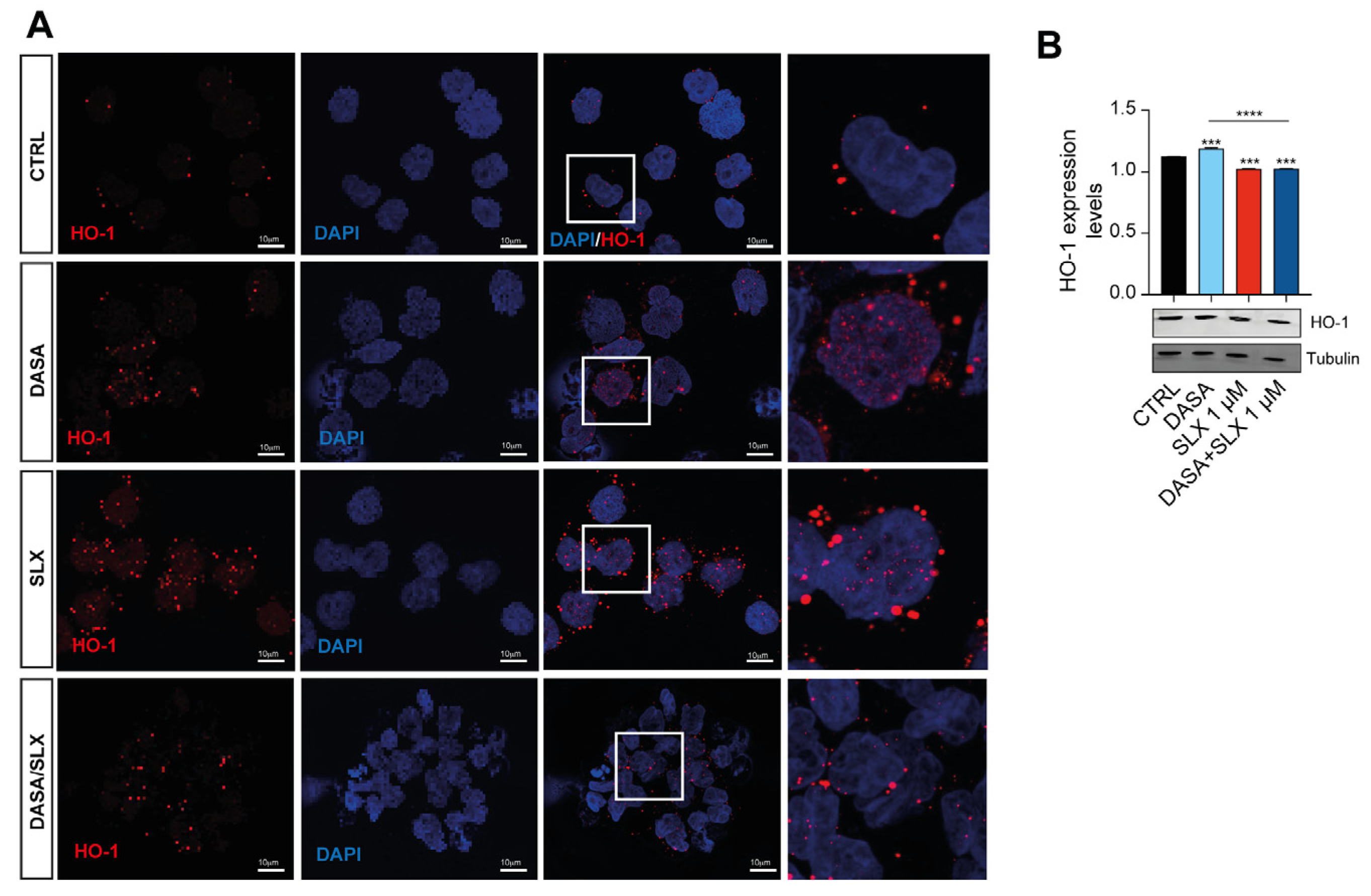 Pharmaceuticals 17 00894 g004