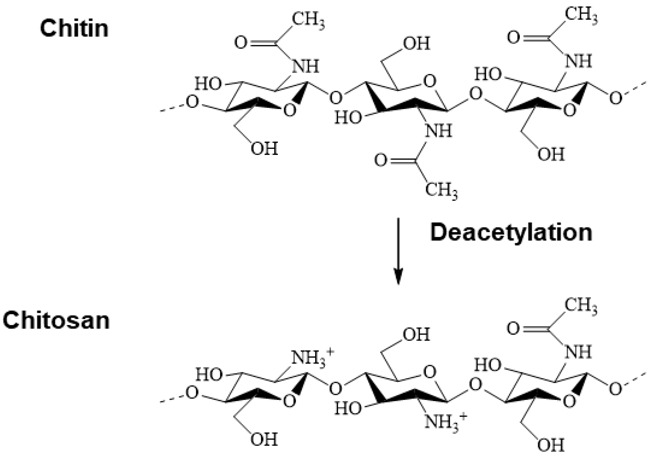 Pharmaceuticals 17 00897 g001