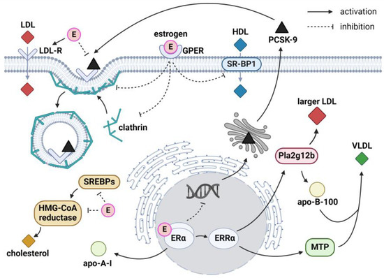 Pharmaceuticals Free Full Text Lipoprotein Metabolism  