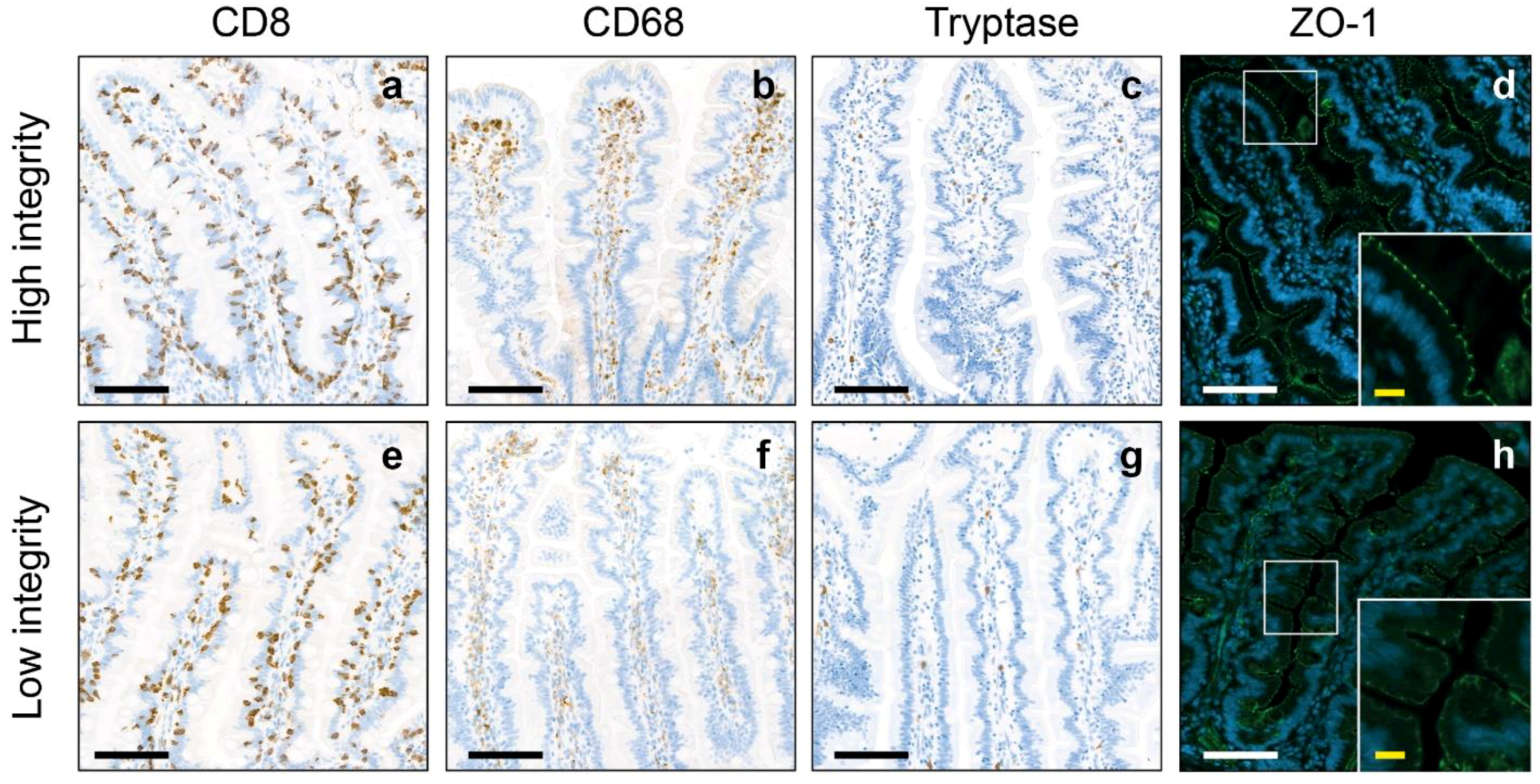 Pharmaceuticals 17 00918 g002 Pharmaceuticals 17 00918 g002