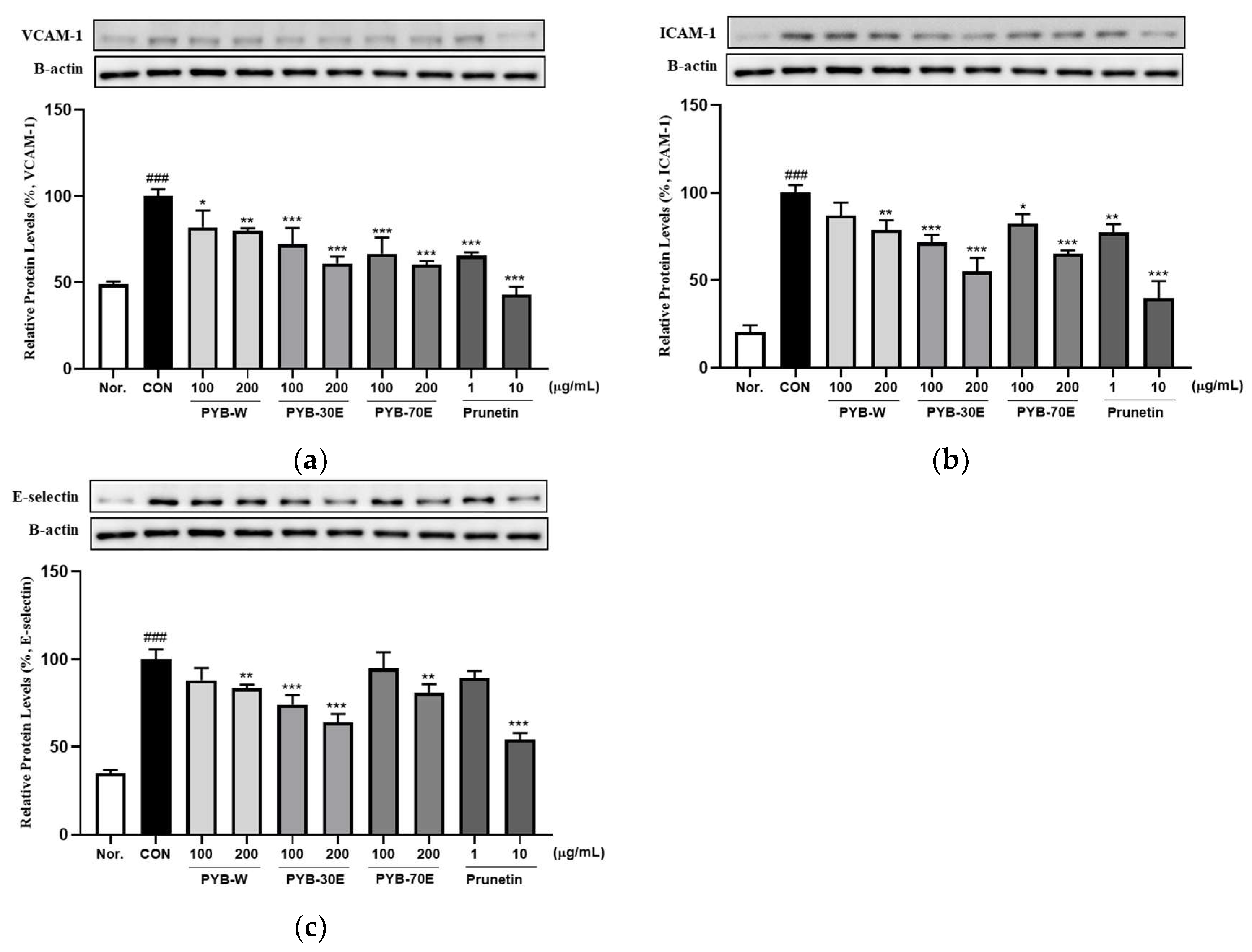 Pharmaceuticals 17 00926 g002