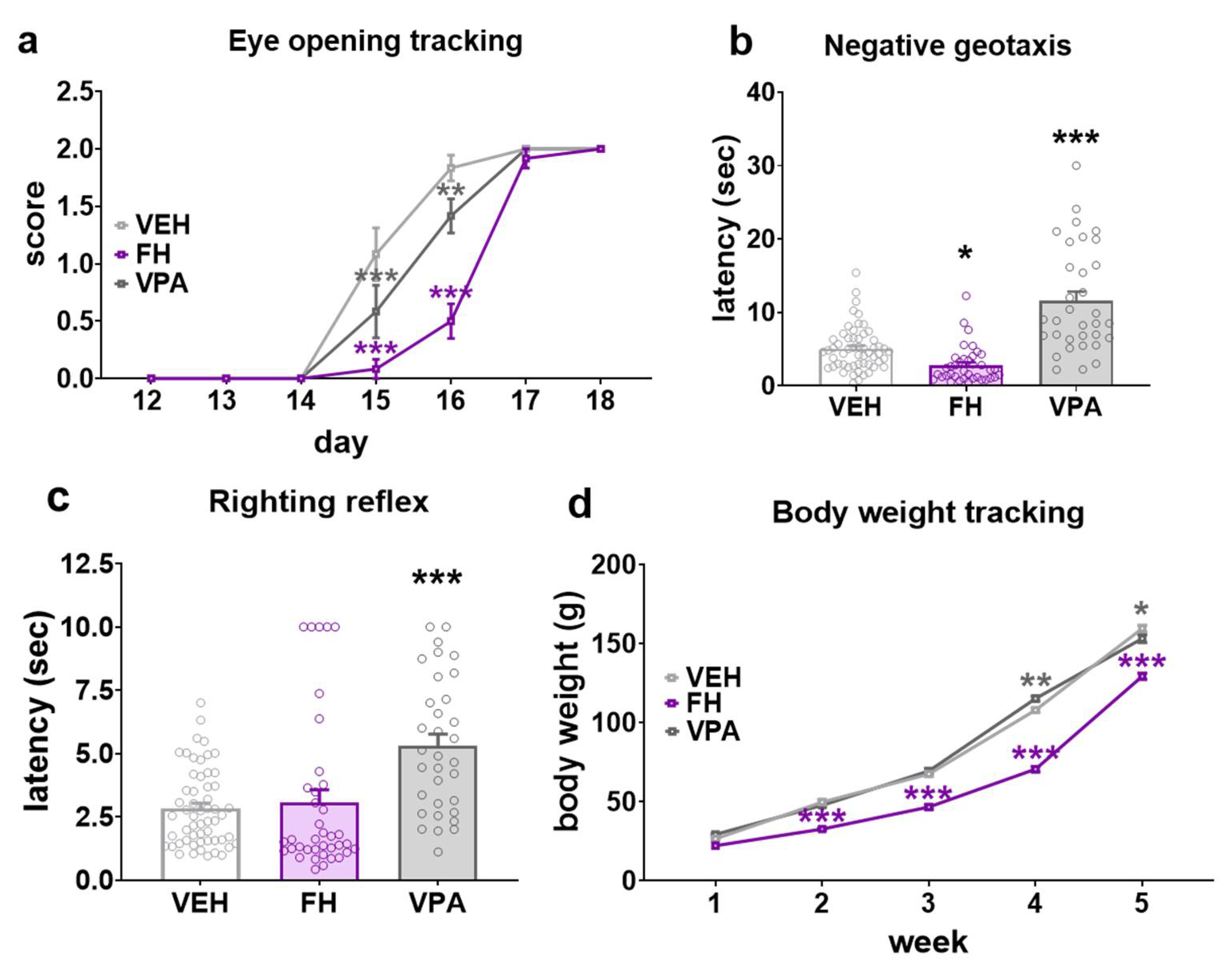Pharmaceuticals 17 00939 g001 Pharmaceuticals 17 00939 g001