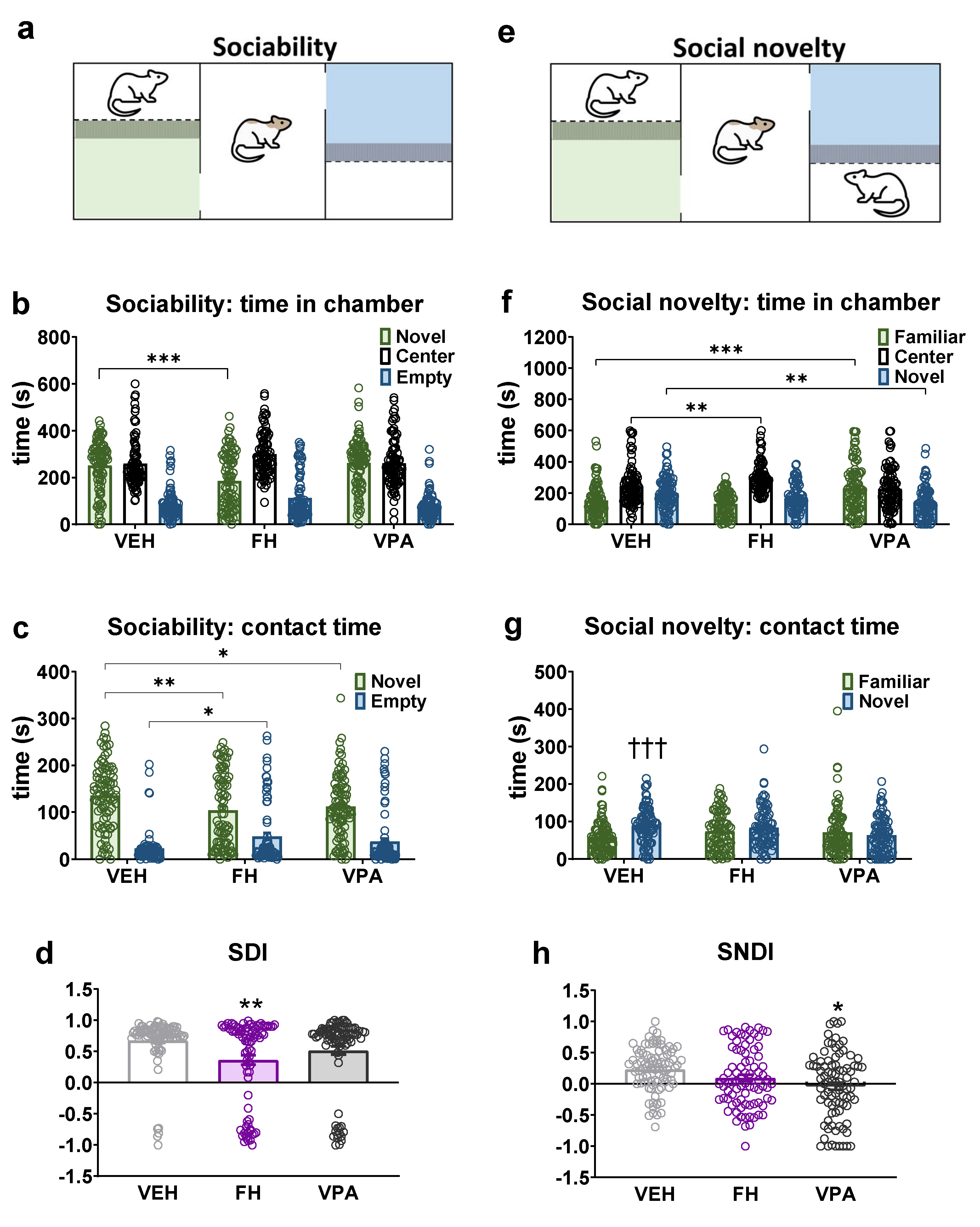 Pharmaceuticals 17 00939 g004 Pharmaceuticals 17 00939 g004