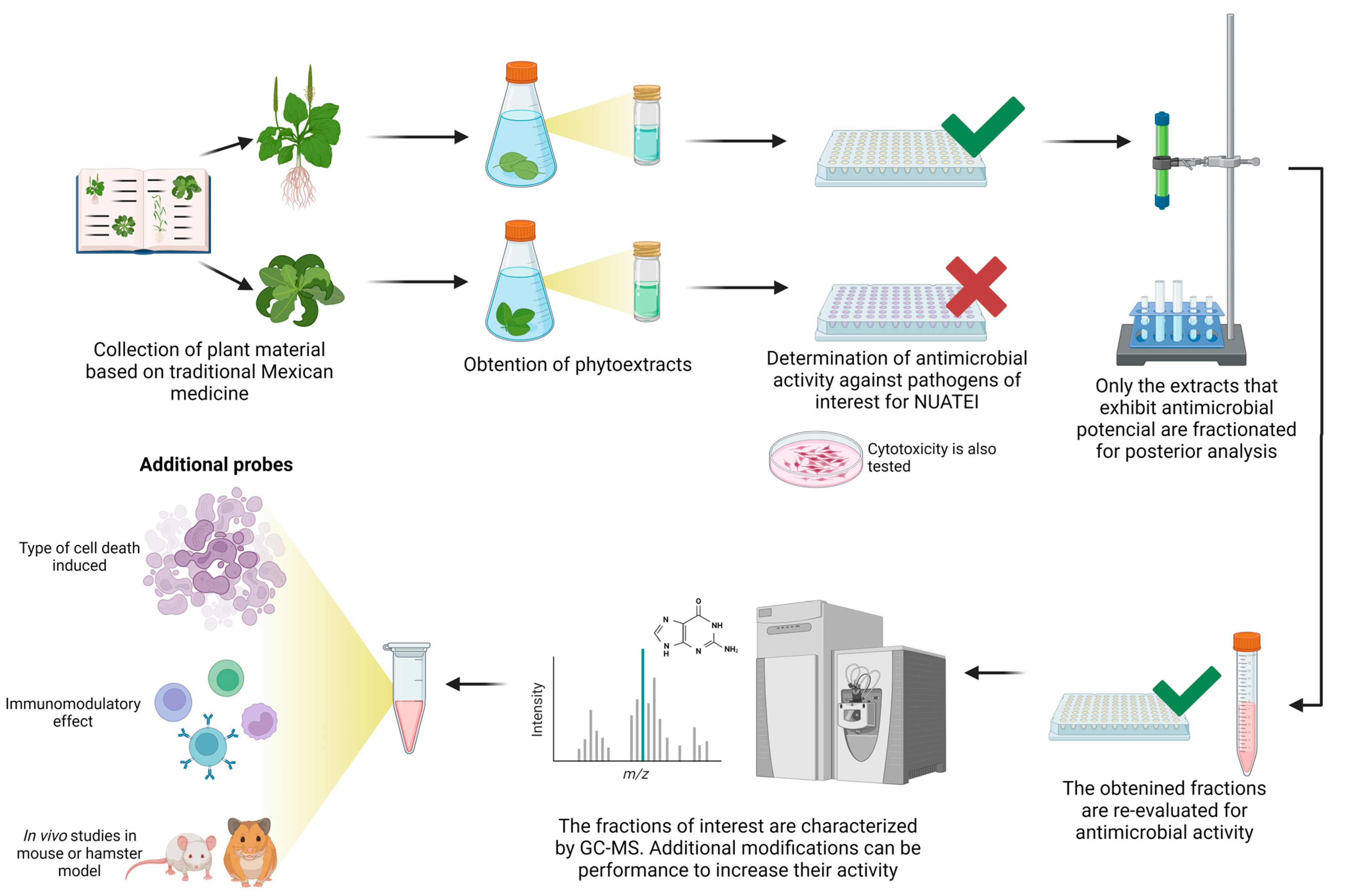 Pharmaceuticals 17 00957 g001