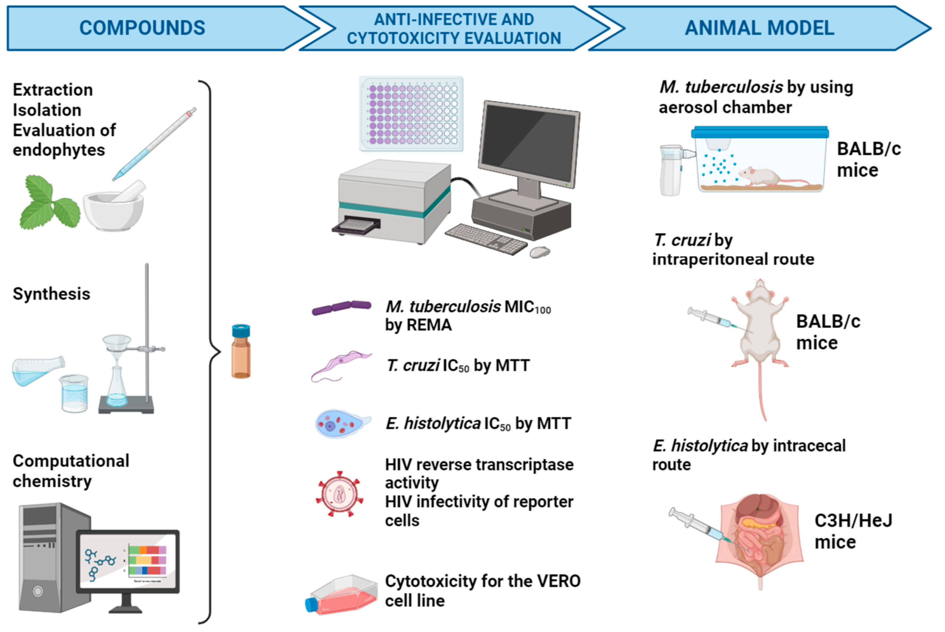 Pharmaceuticals 17 00957 g002