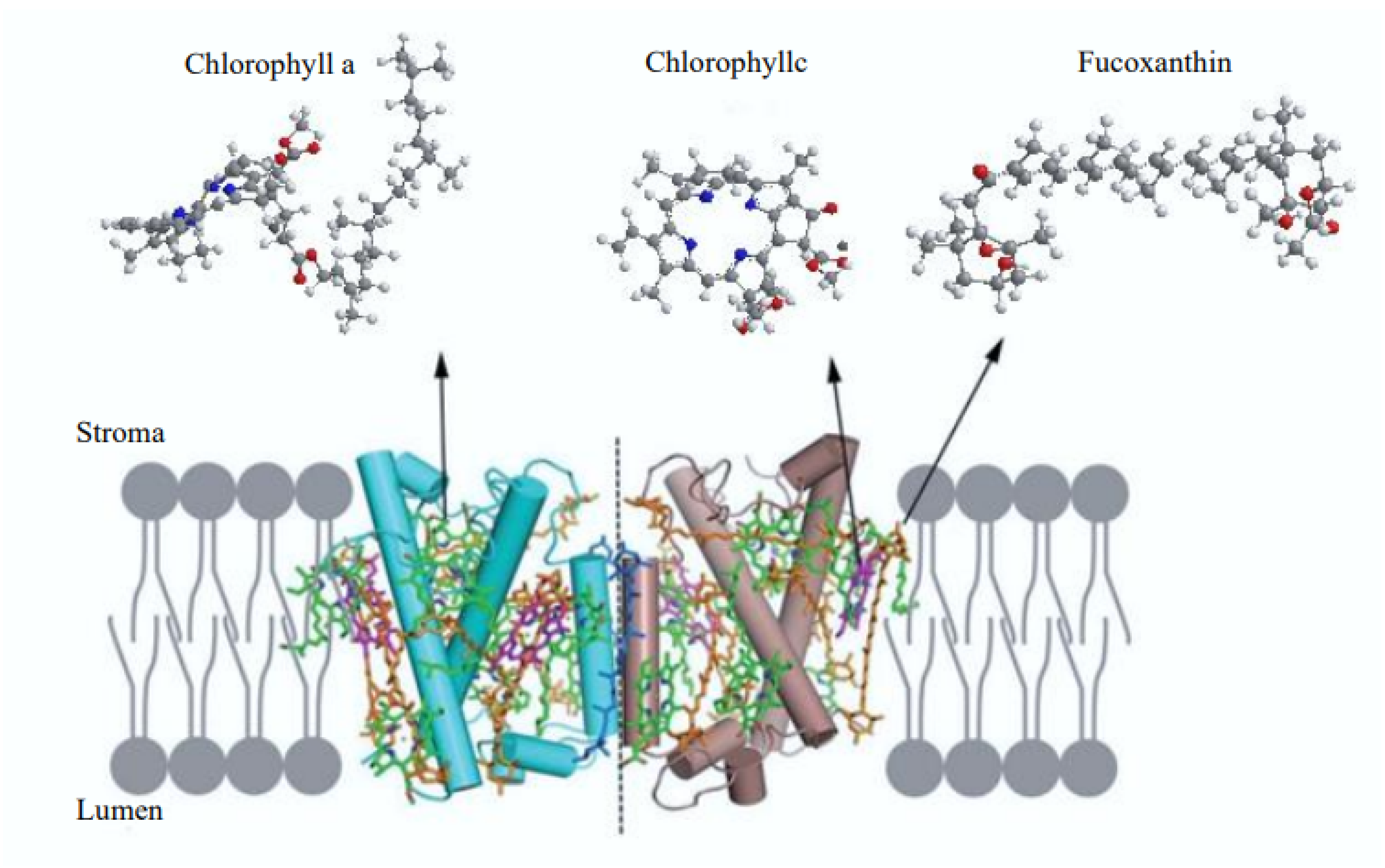 Pharmaceuticals 17 00960 g004