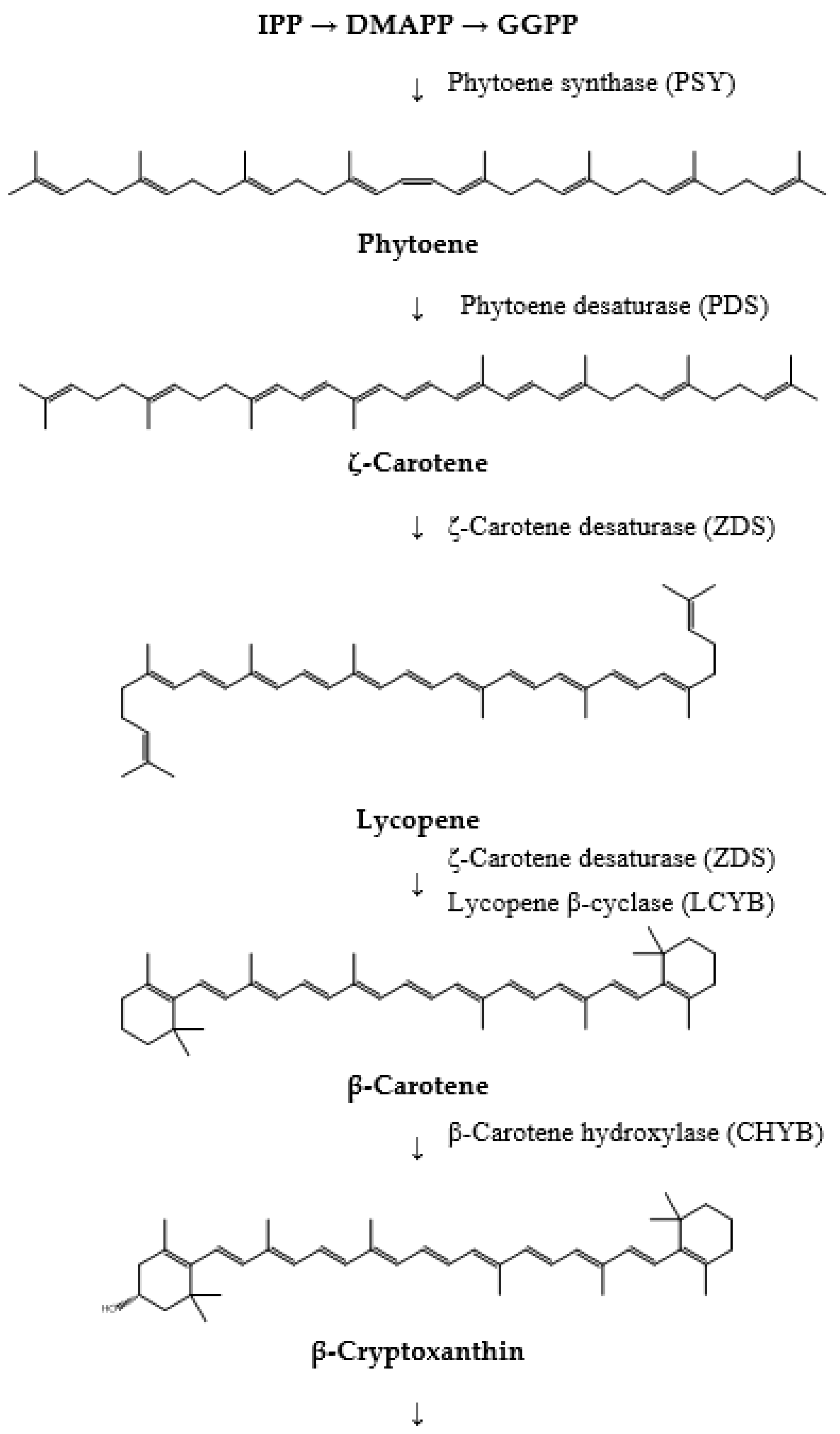 Pharmaceuticals 17 00960 g005a