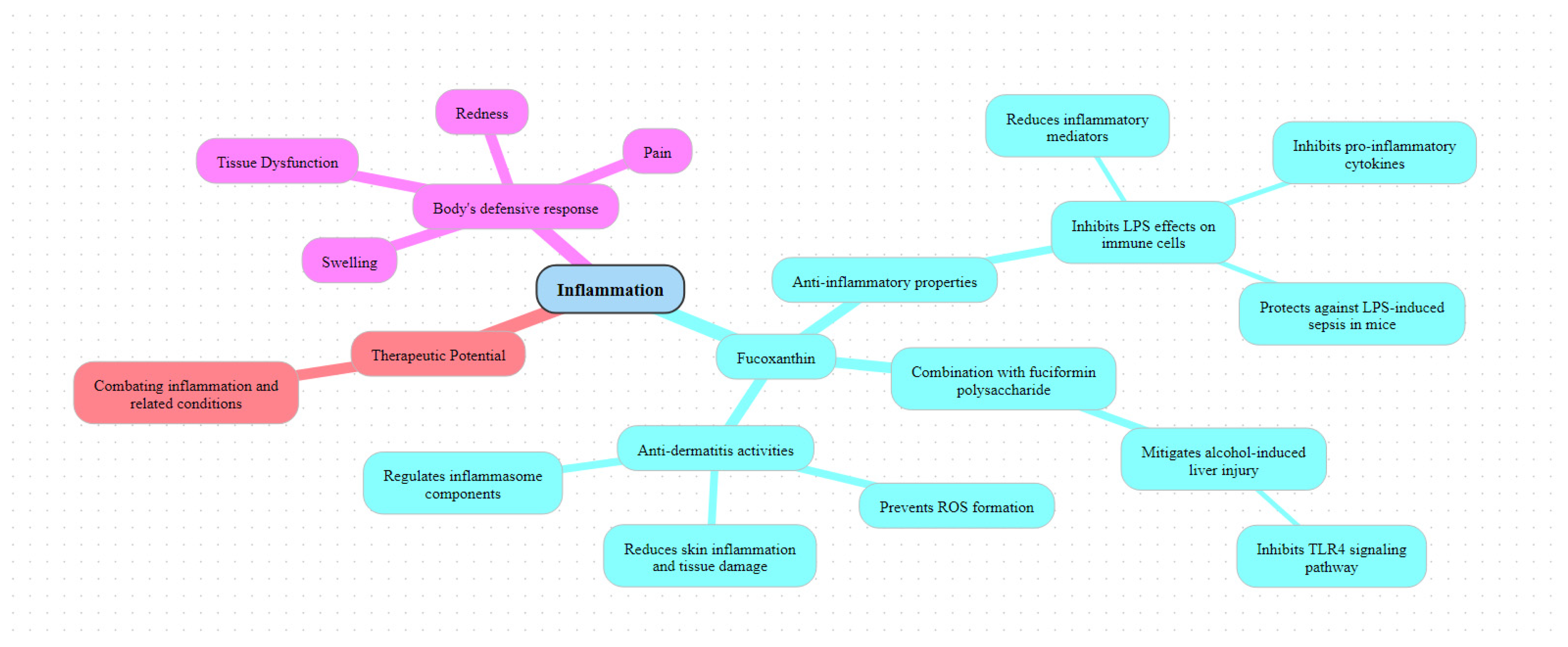 Pharmaceuticals 17 00960 g007