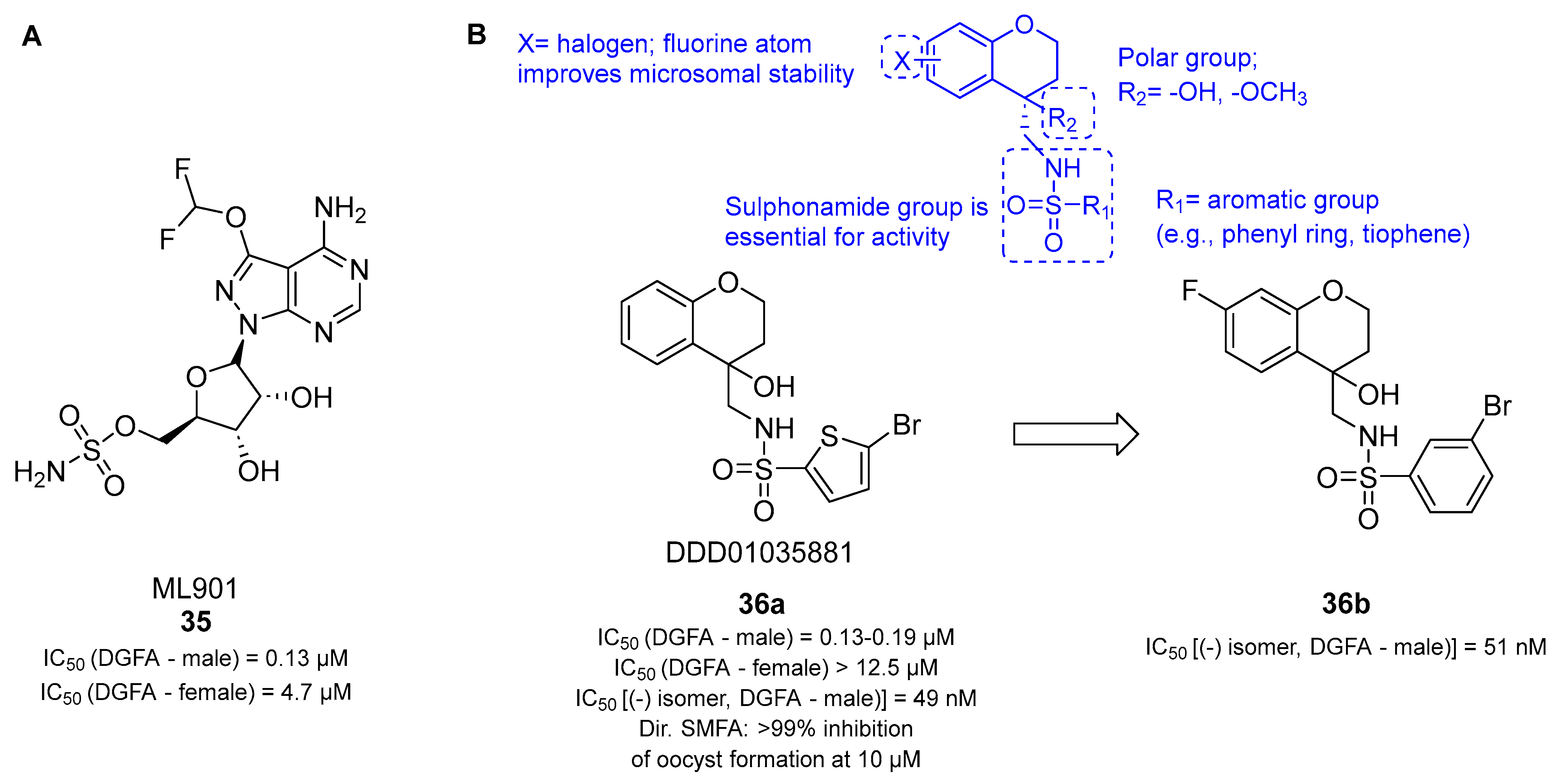 Pharmaceuticals 17 00962 g008 Pharmaceuticals 17 00962 g008