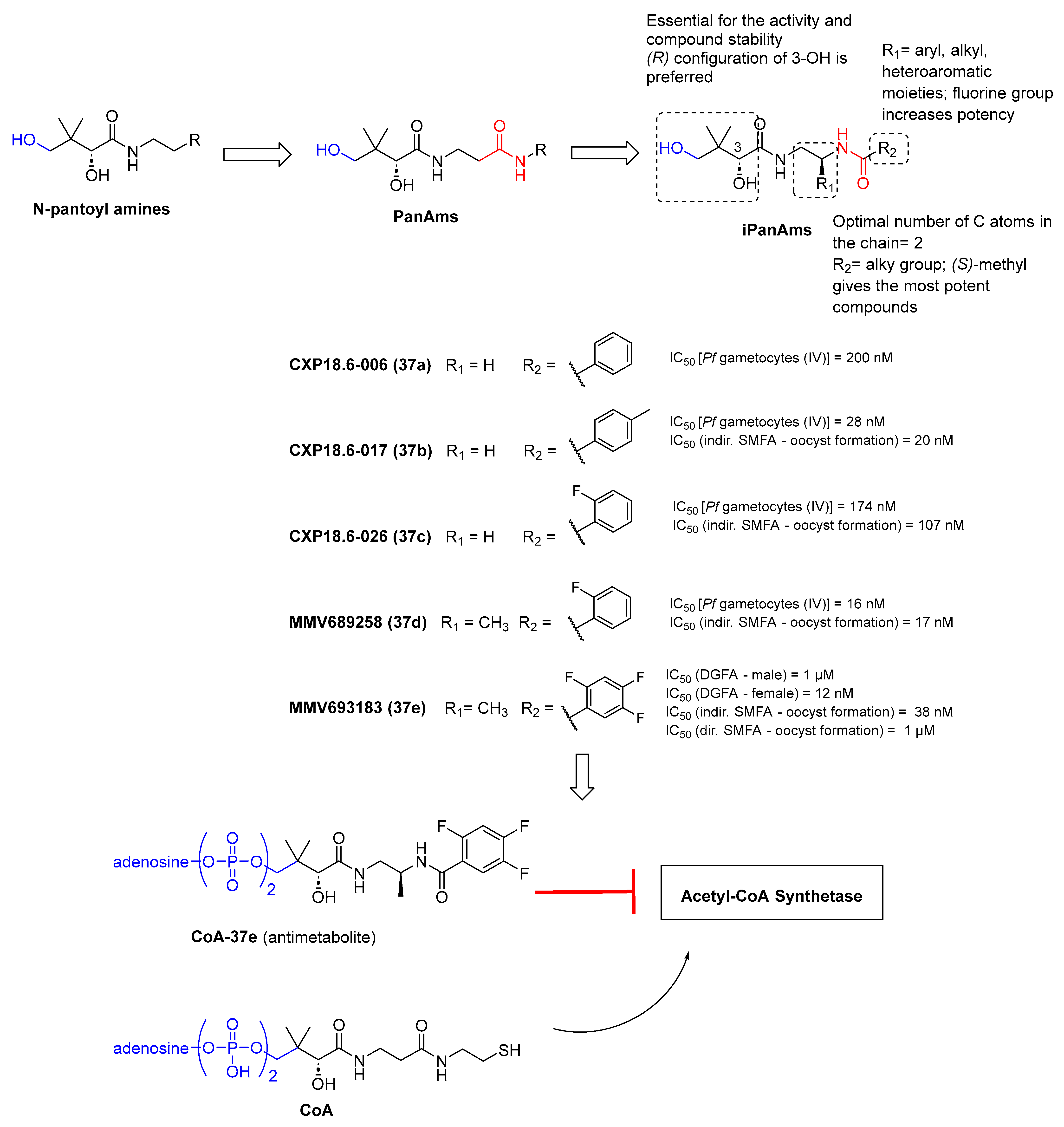 Pharmaceuticals 17 00962 g009 Pharmaceuticals 17 00962 g009