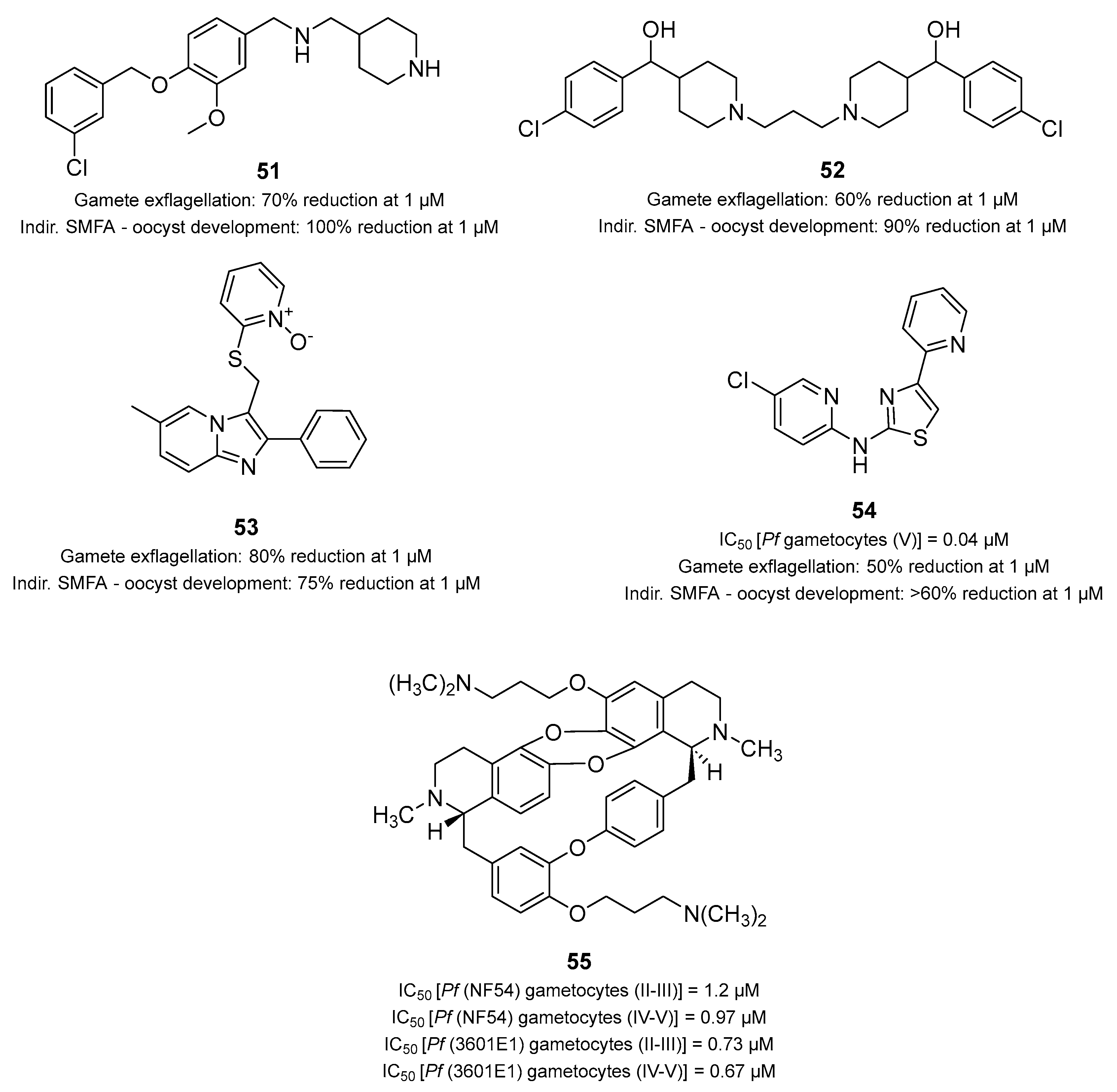 Pharmaceuticals 17 00962 g013 Pharmaceuticals 17 00962 g013