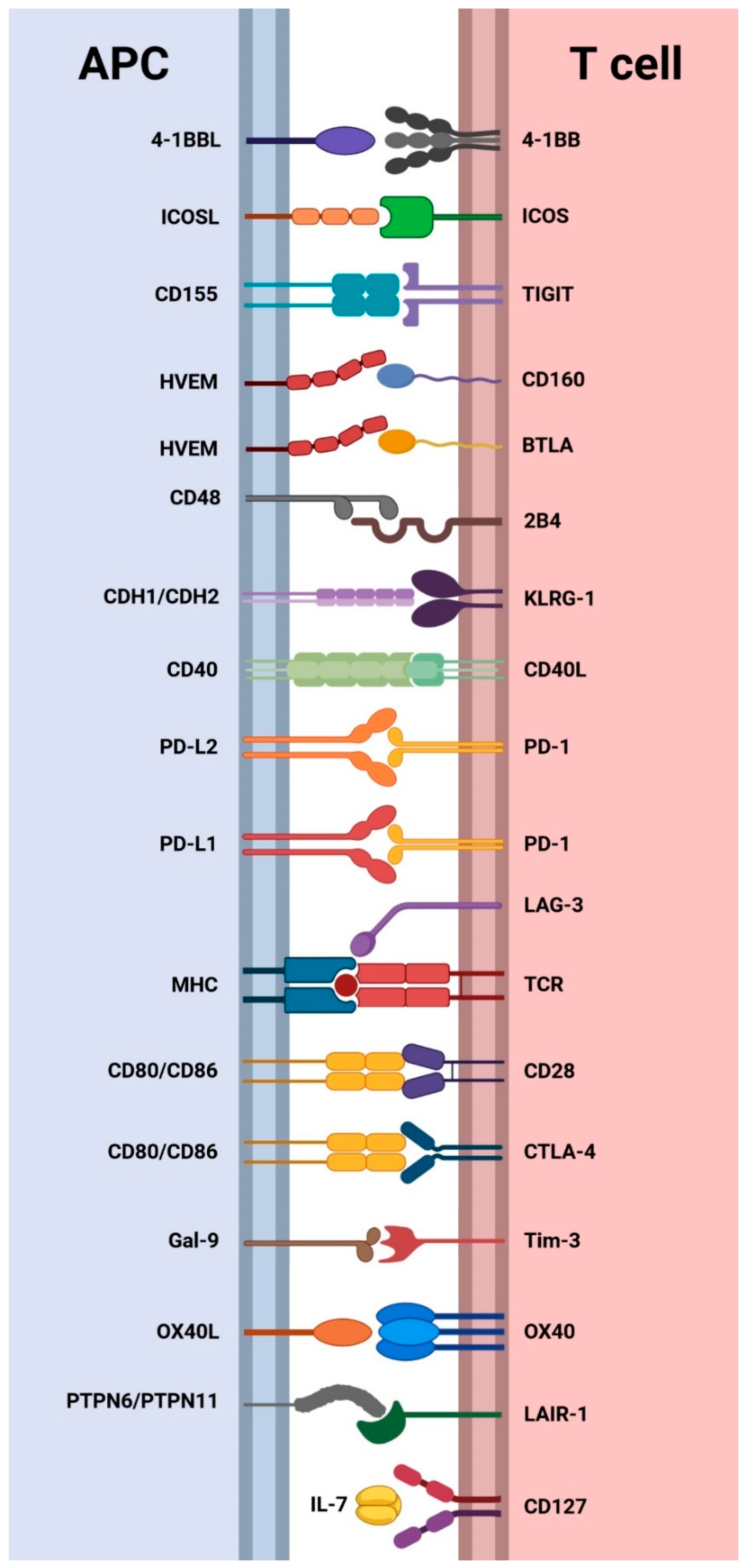 Pharmaceuticals 17 00964 g004 Pharmaceuticals 17 00964 g004