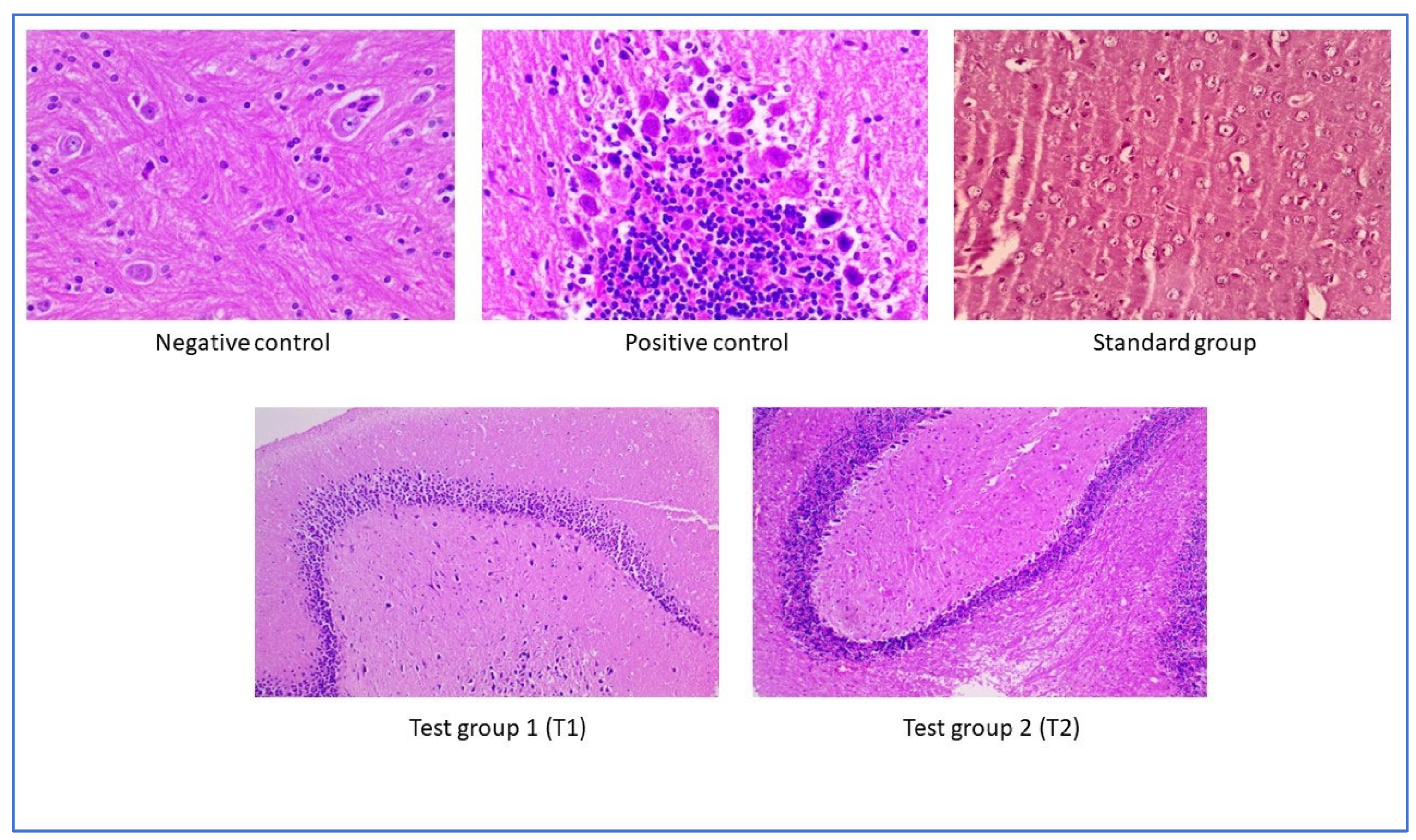 Pharmaceuticals 17 00966 g018