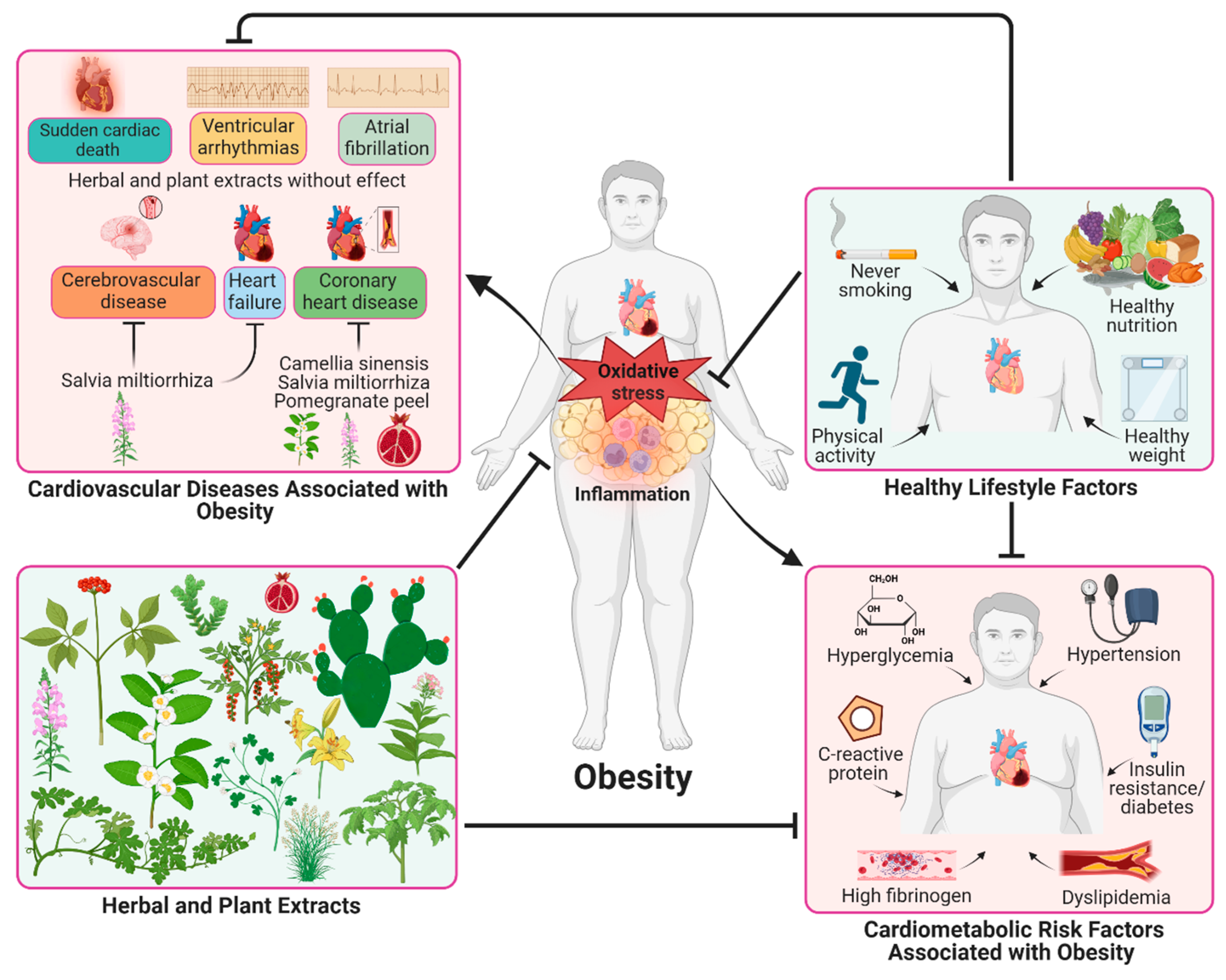 Pharmaceuticals 17 00967 g001 Pharmaceuticals 17 00967 g001