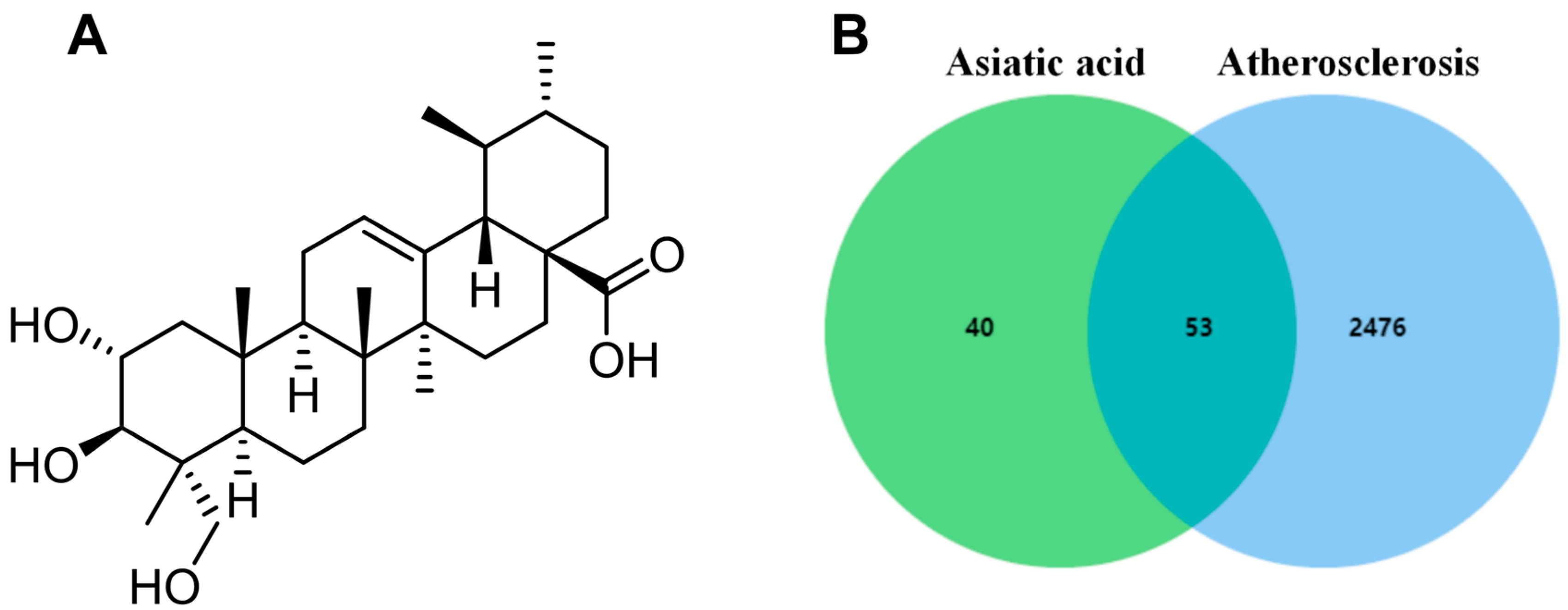 Pharmaceuticals 17 00969 g001 Pharmaceuticals 17 00969 g001