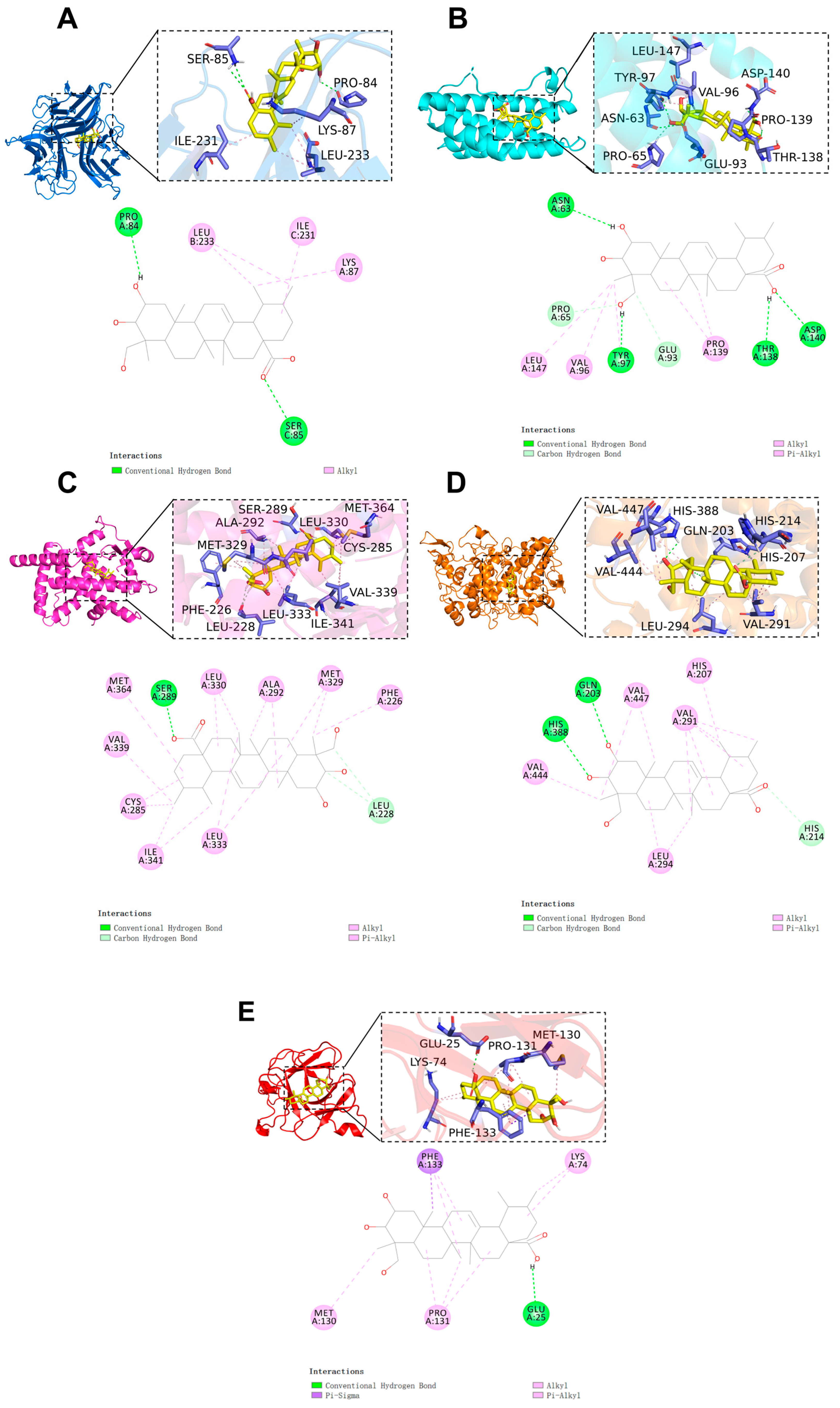 Pharmaceuticals 17 00969 g004 Pharmaceuticals 17 00969 g004