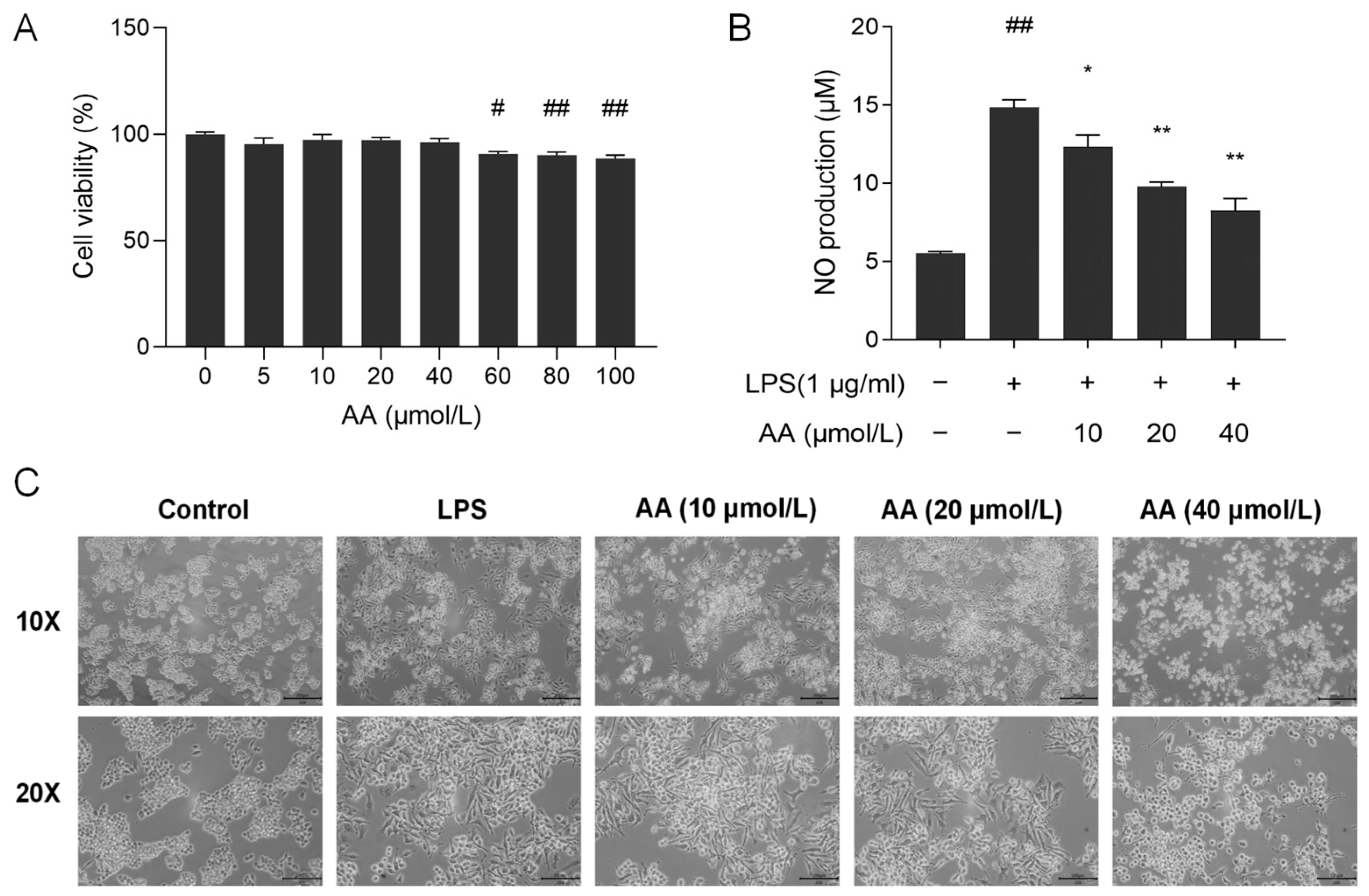 Pharmaceuticals 17 00969 g008 Pharmaceuticals 17 00969 g008