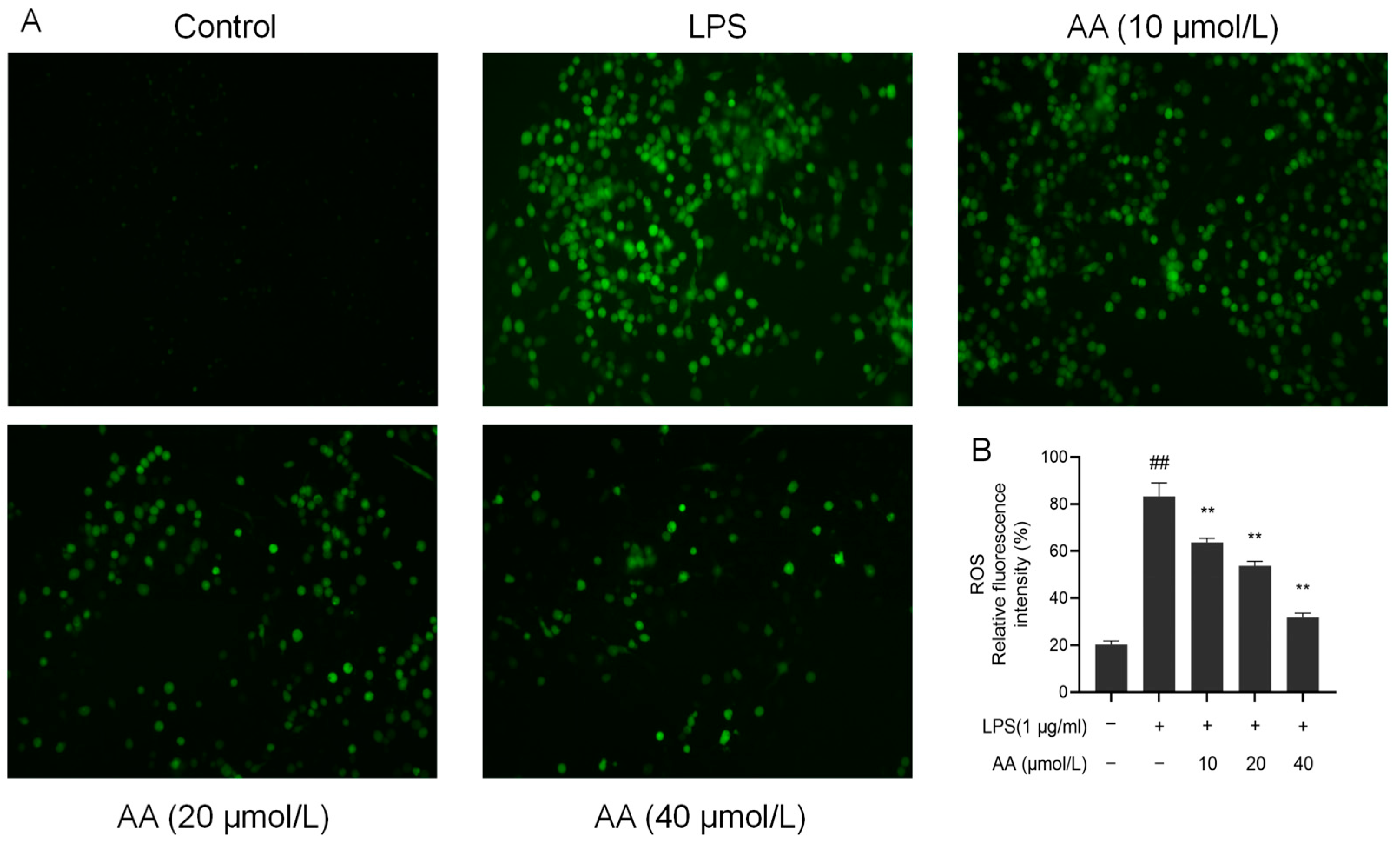 Pharmaceuticals 17 00969 g009 Pharmaceuticals 17 00969 g009