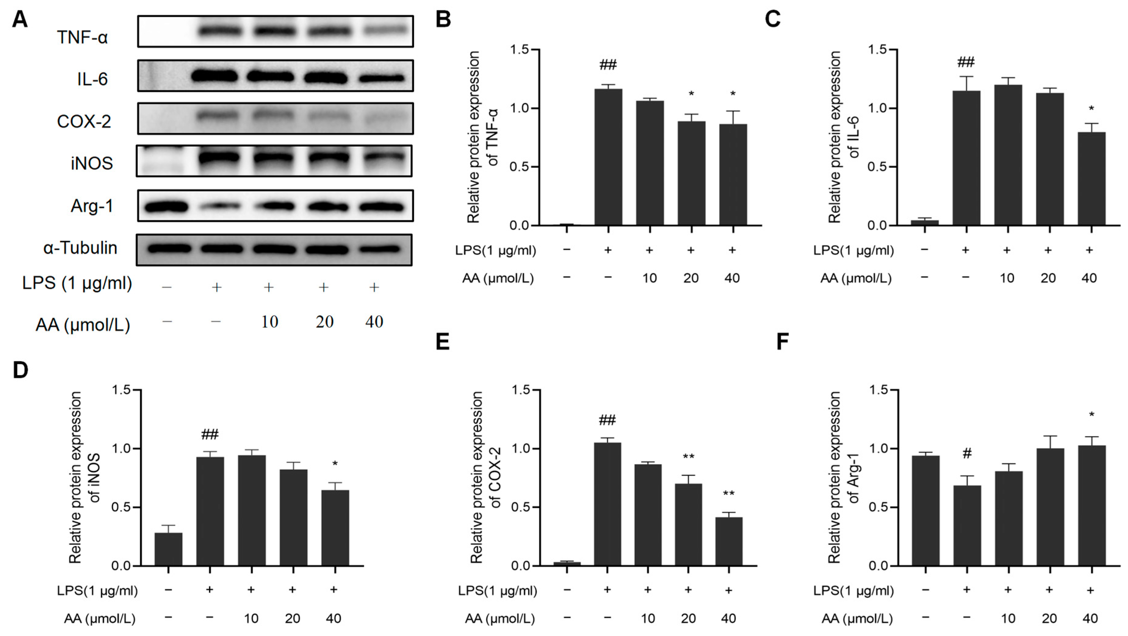 Pharmaceuticals 17 00969 g010 Pharmaceuticals 17 00969 g010