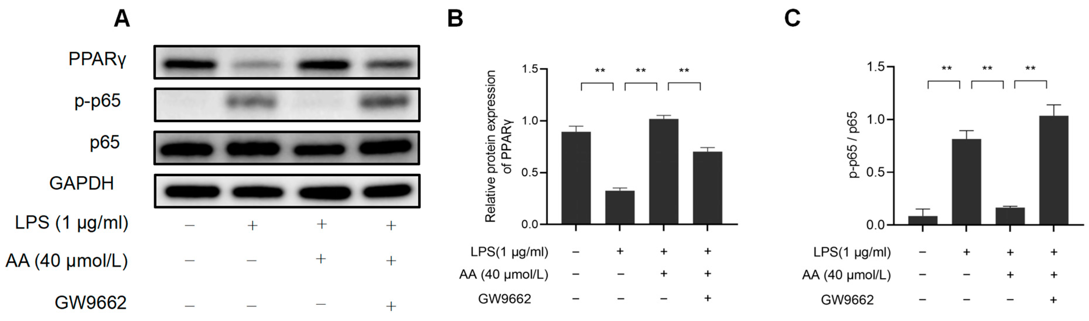 Pharmaceuticals 17 00969 g012 Pharmaceuticals 17 00969 g012