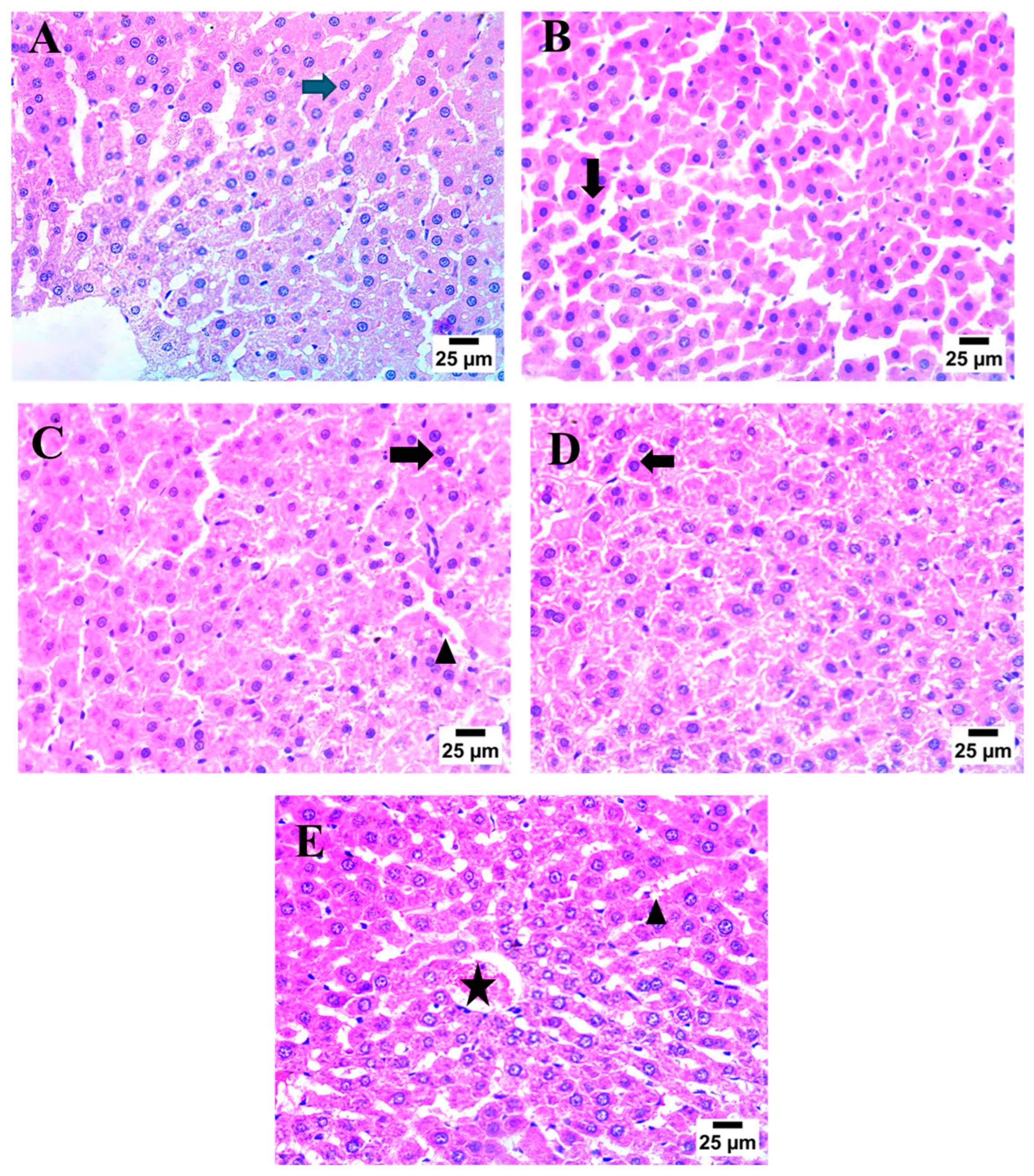 Pharmaceuticals 17 00970 g008