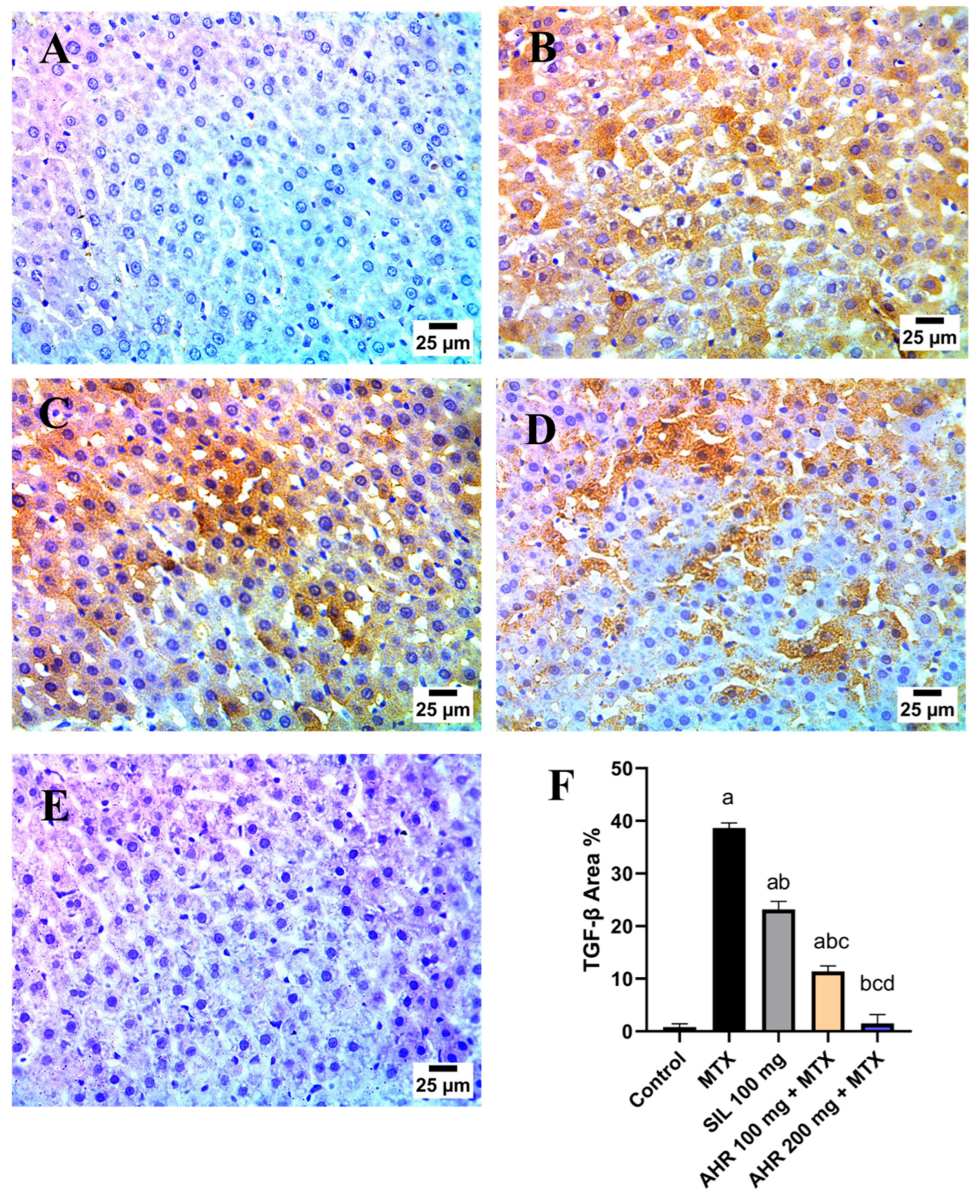 Pharmaceuticals 17 00970 g009