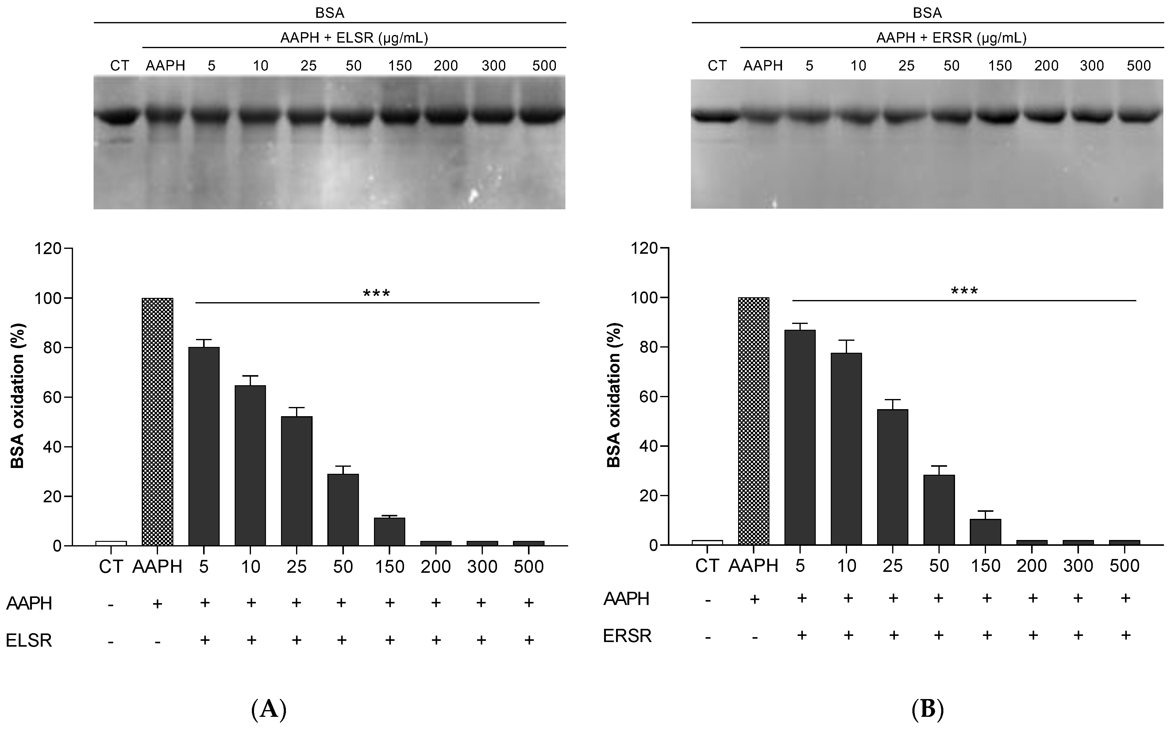 Pharmaceuticals 17 00974 g002