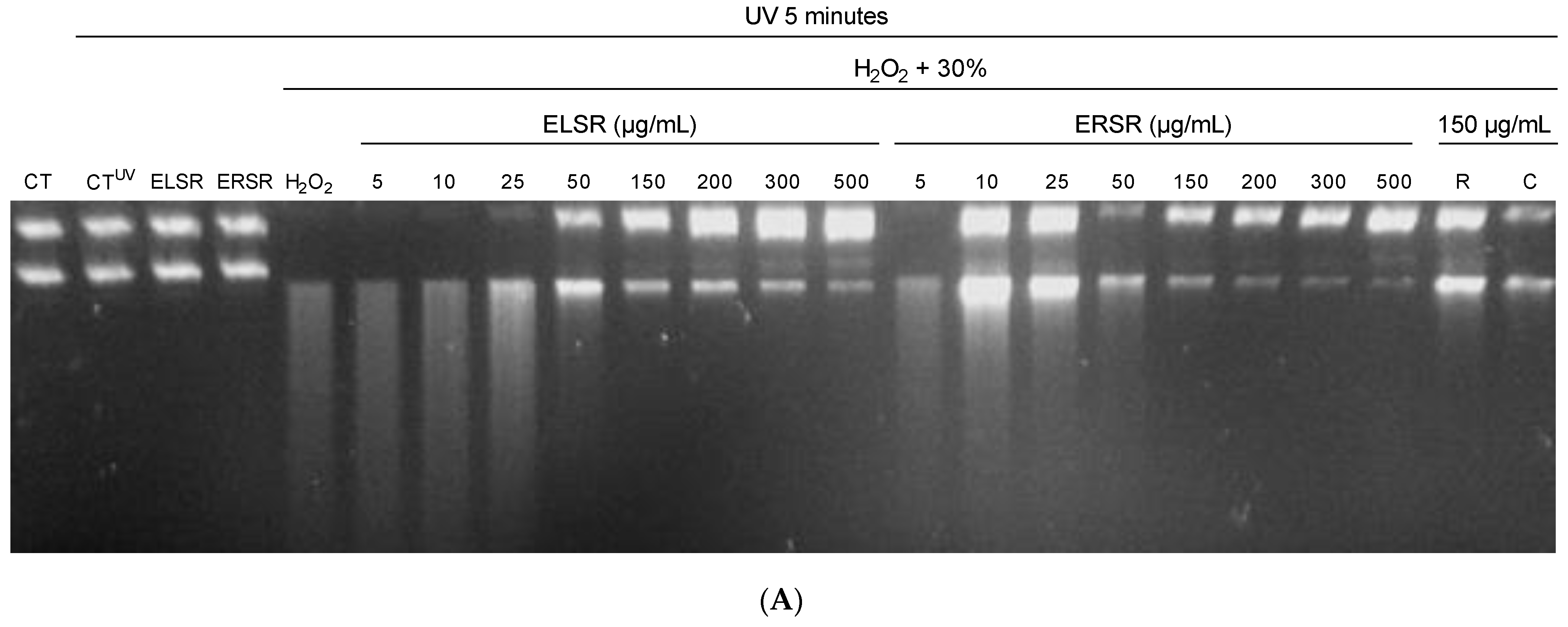 Pharmaceuticals 17 00974 g003a