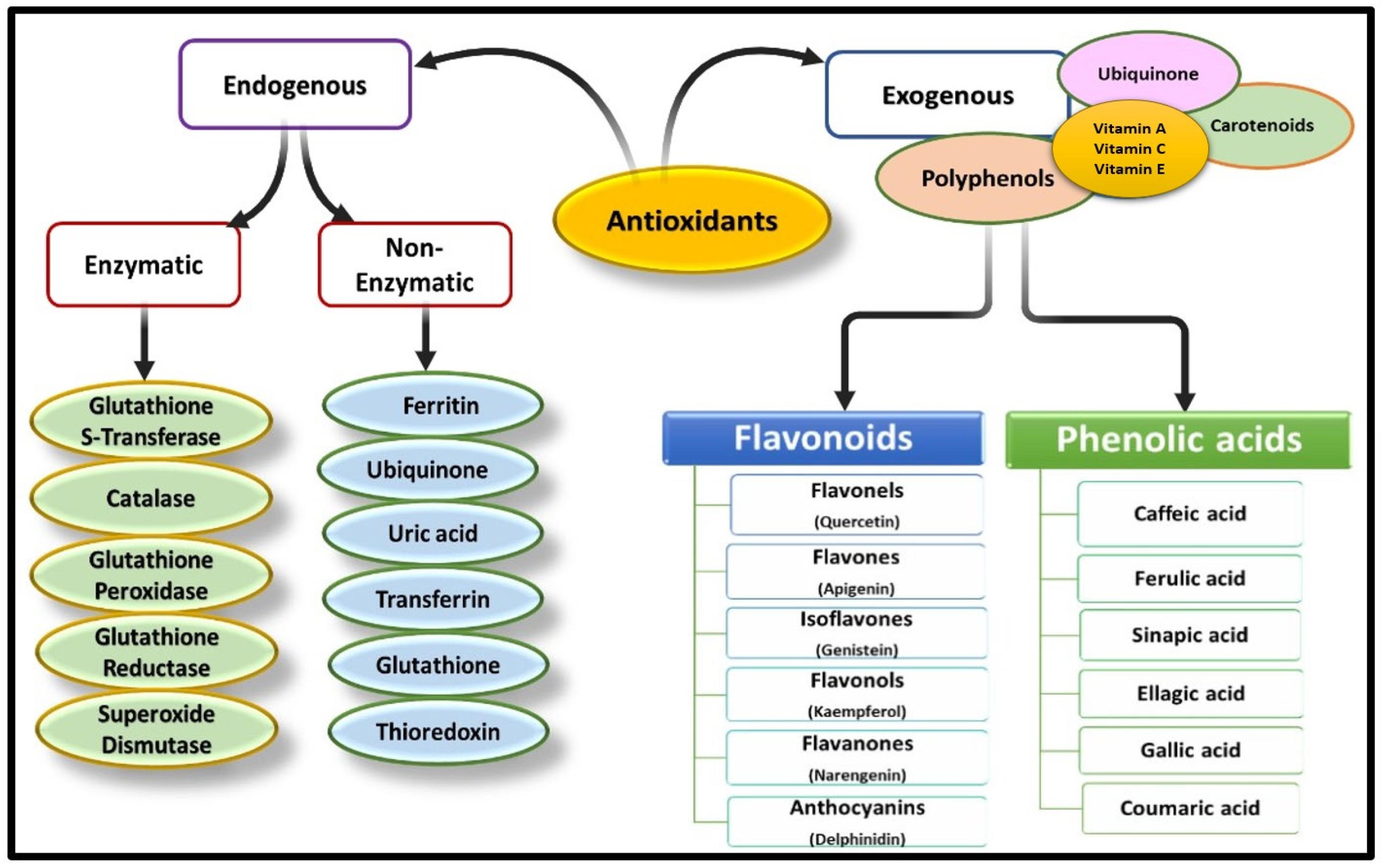 Pharmaceuticals 17 00975 g003 Pharmaceuticals 17 00975 g003