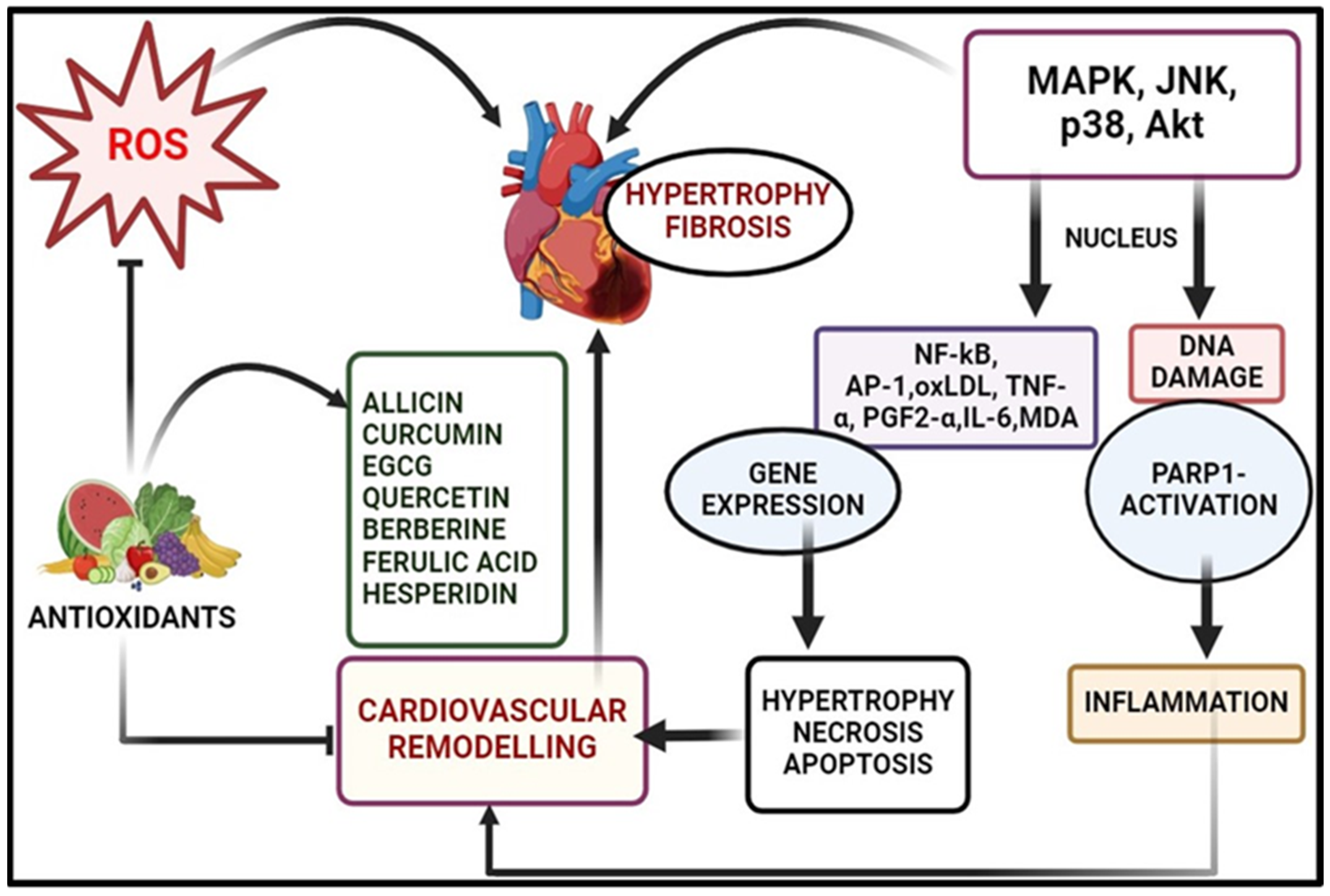 Pharmaceuticals 17 00975 g004 Pharmaceuticals 17 00975 g004