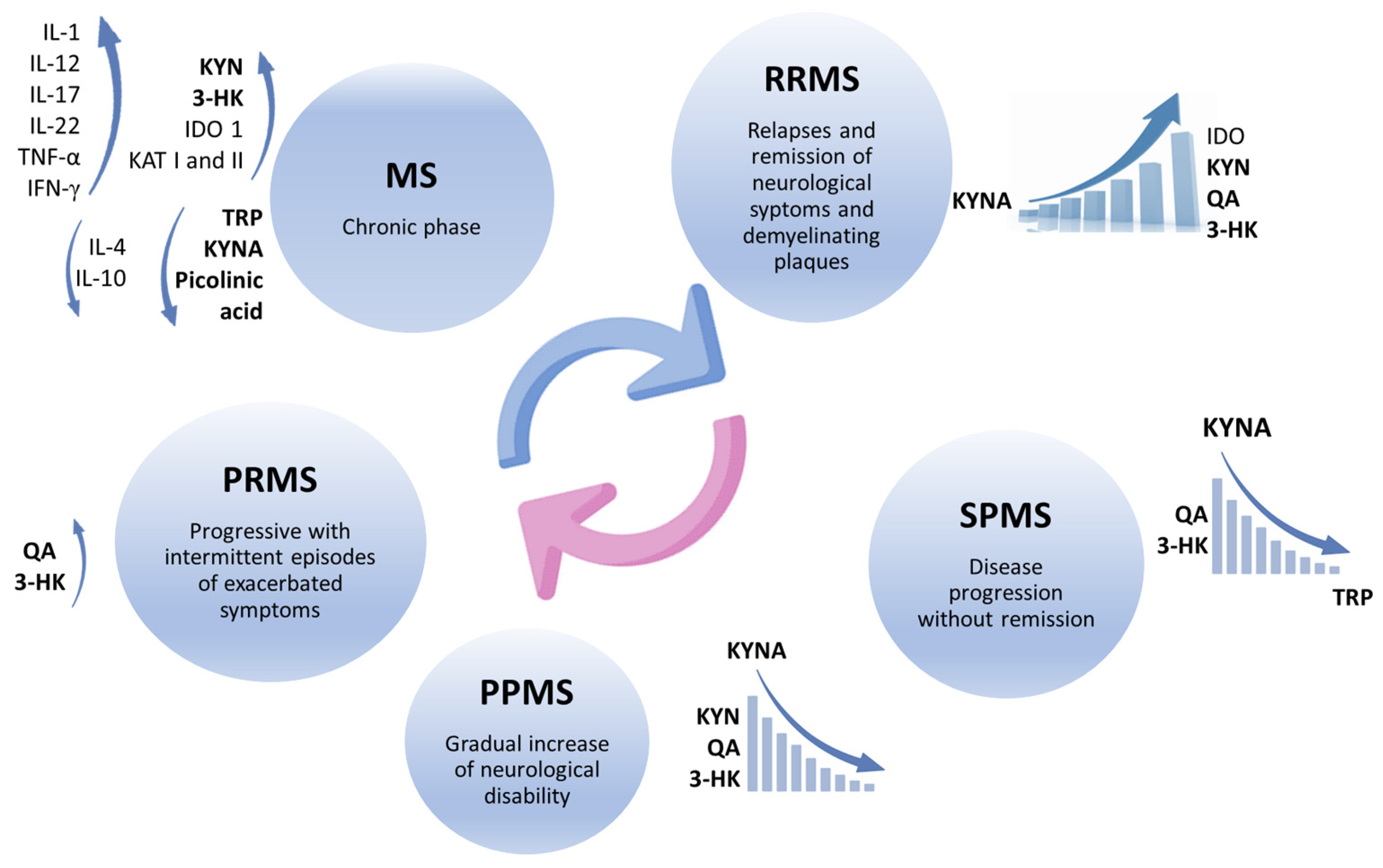 Pharmaceuticals 17 00983 g003