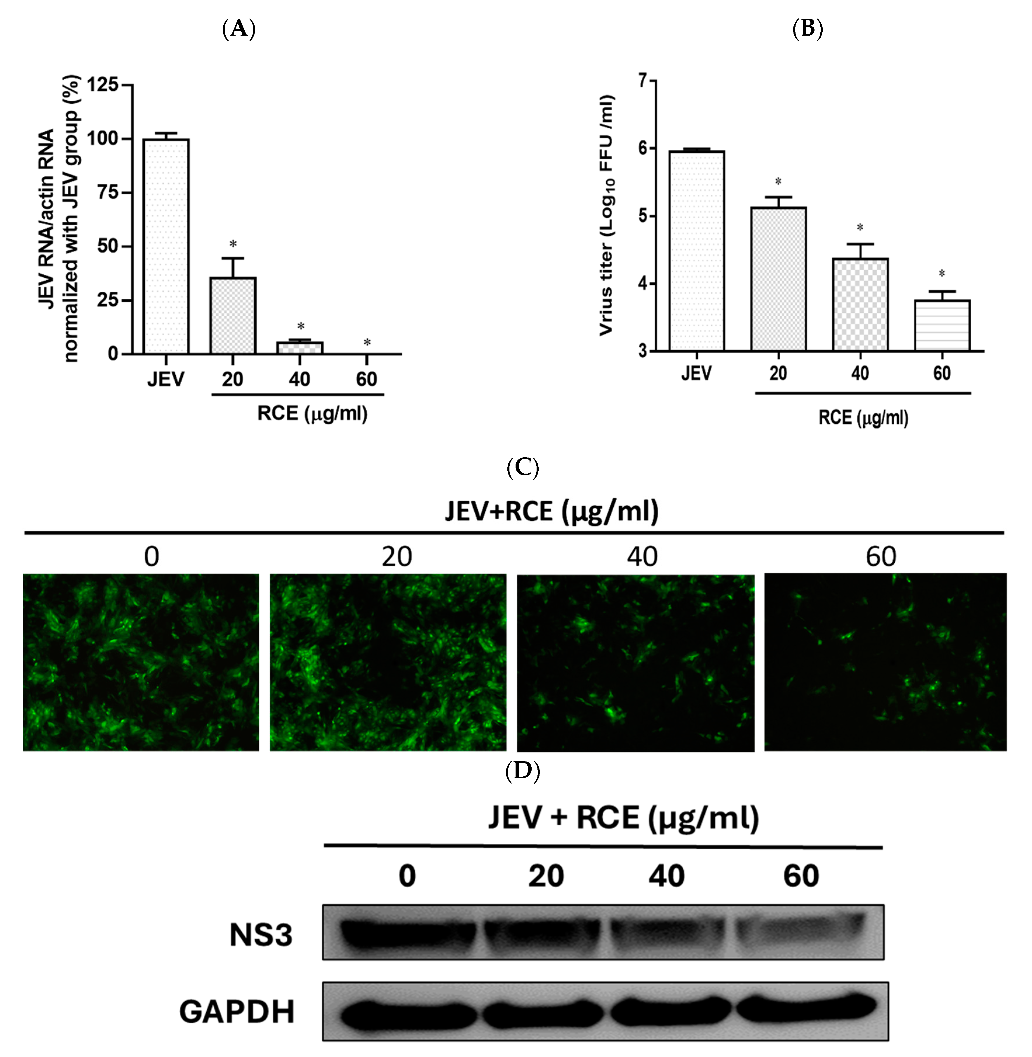 Pharmaceuticals 17 00988 g003