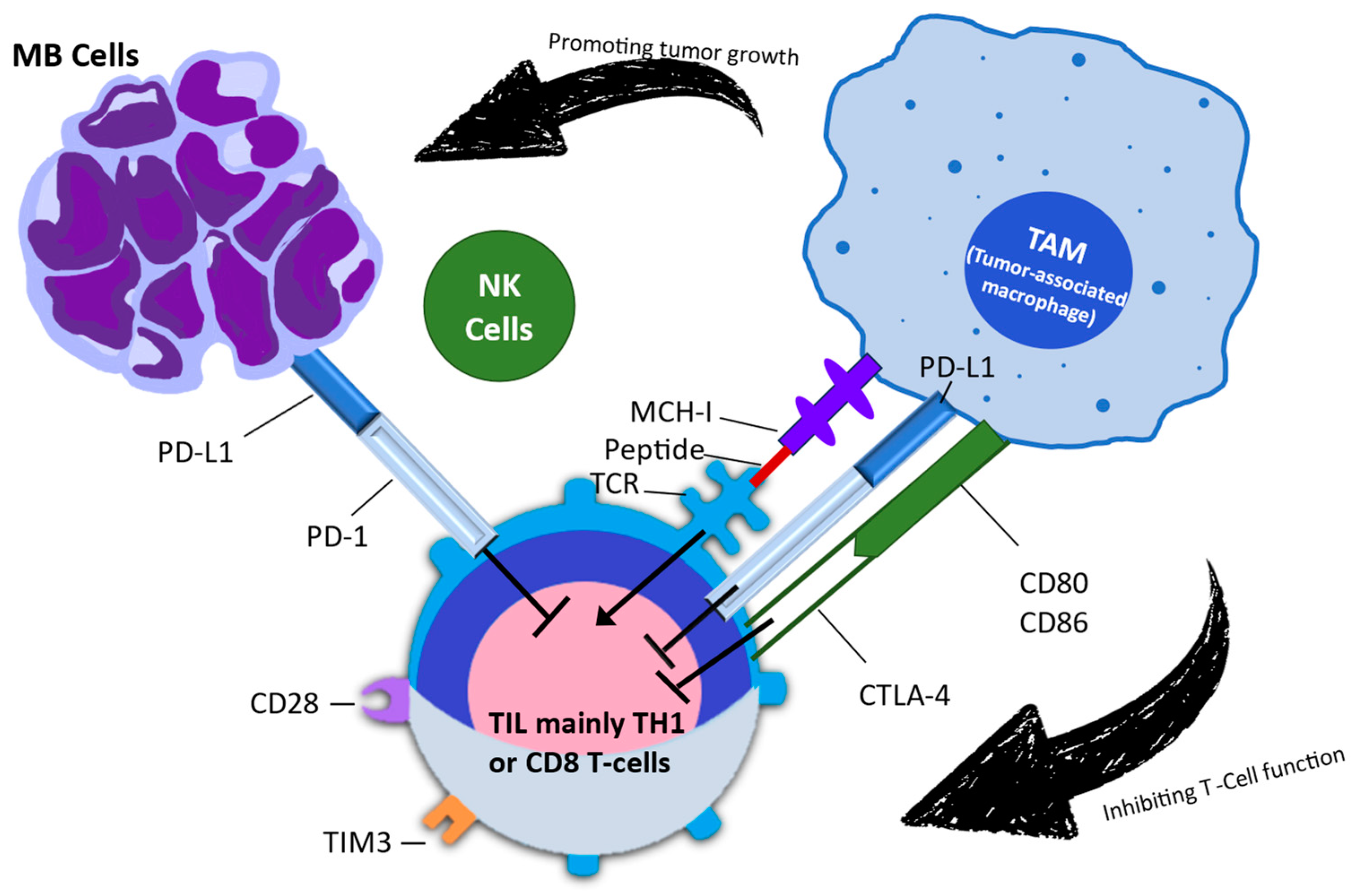 Pharmaceuticals 17 00991 g002