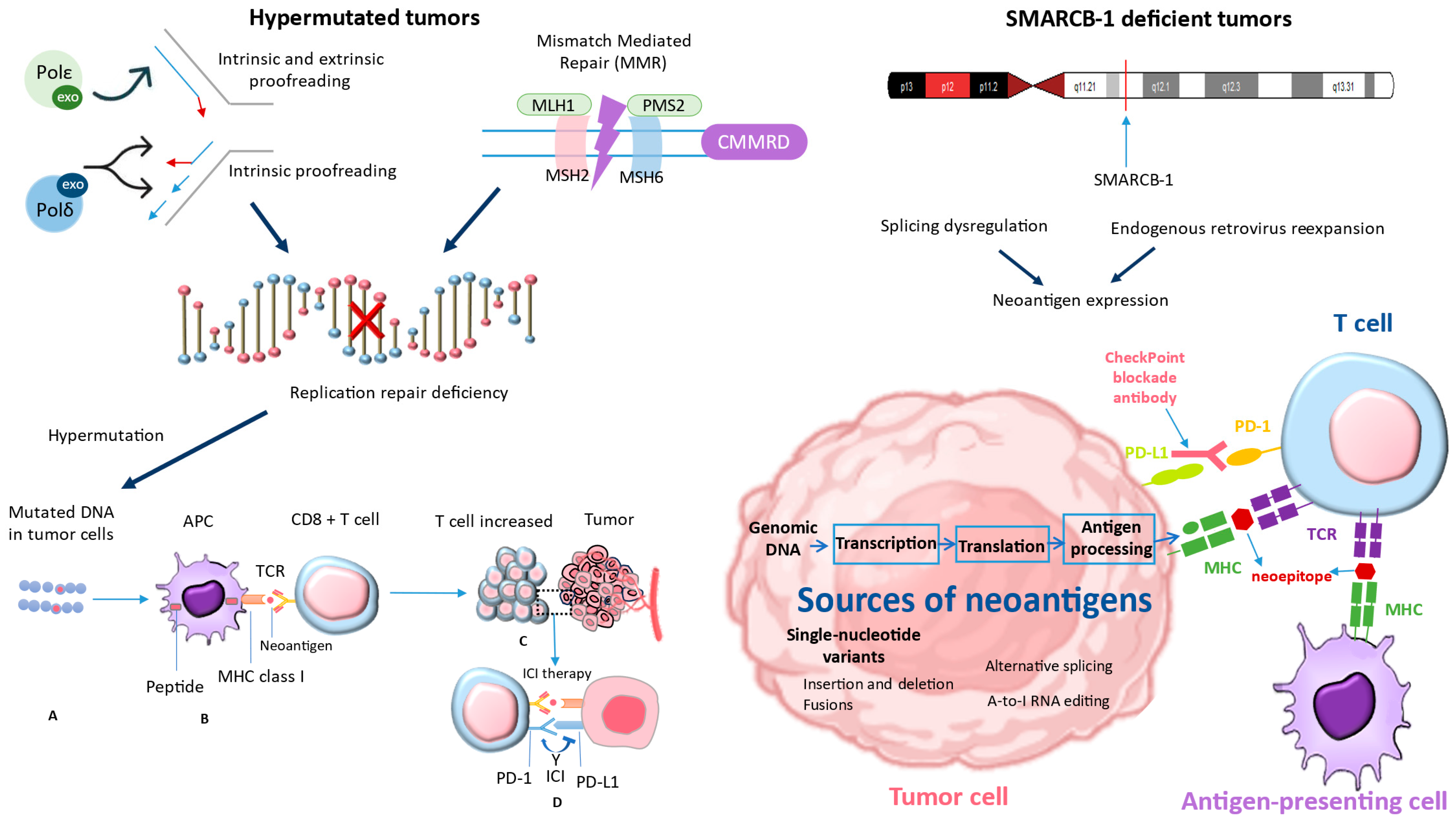 Pharmaceuticals 17 00991 g003